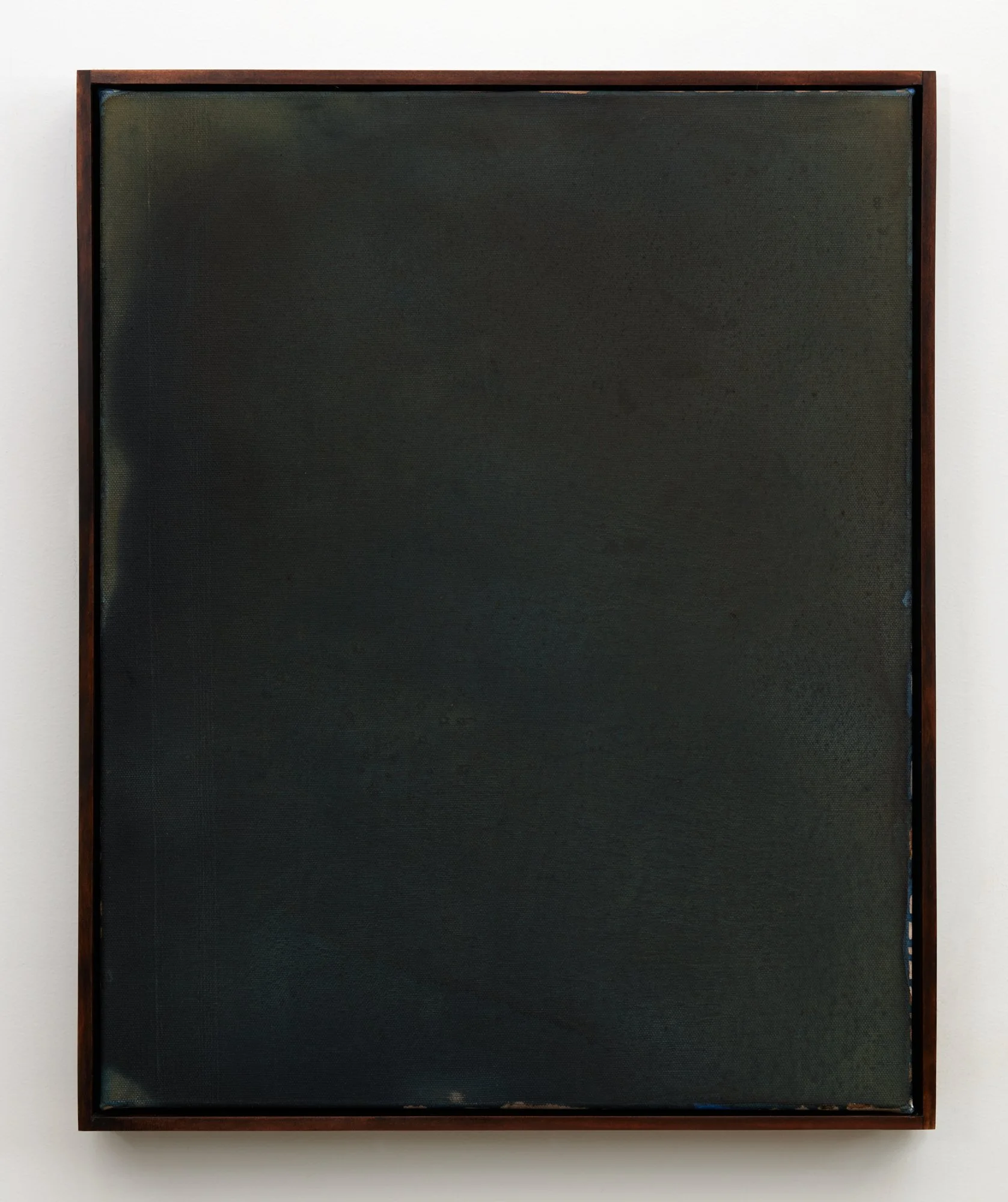 Nature Writing (Waipā) I