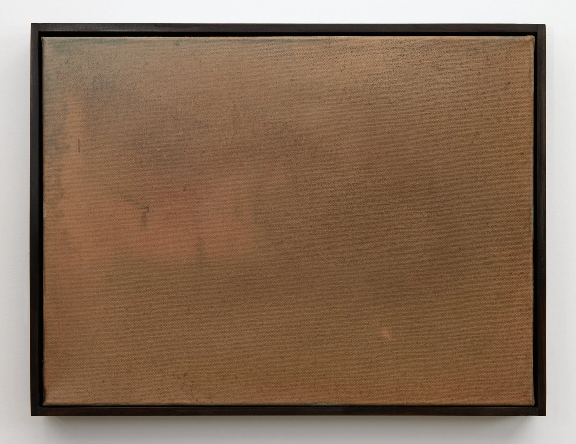 Nature Writing (Waipā) V