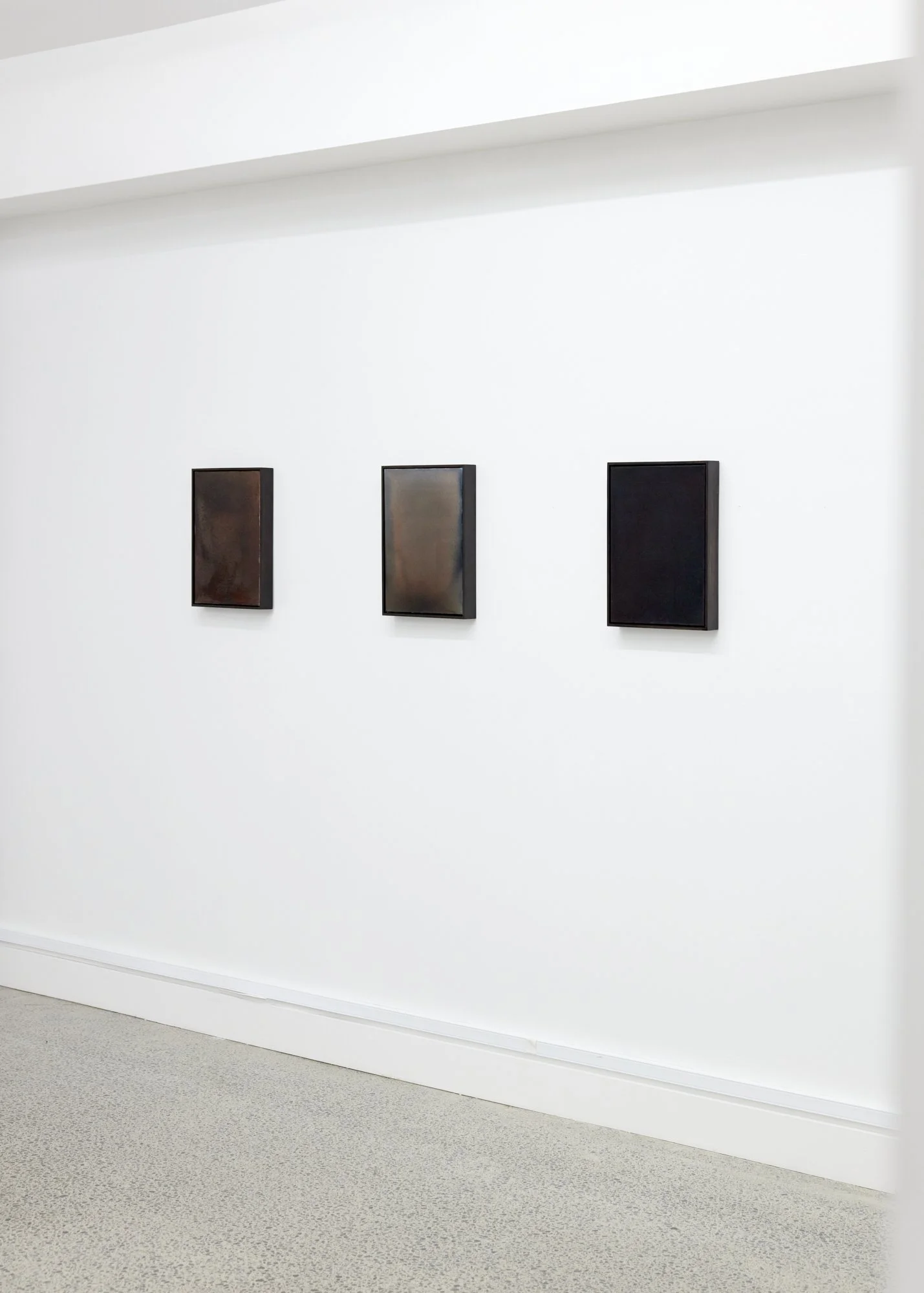 Nature Writing (Waipā) VII