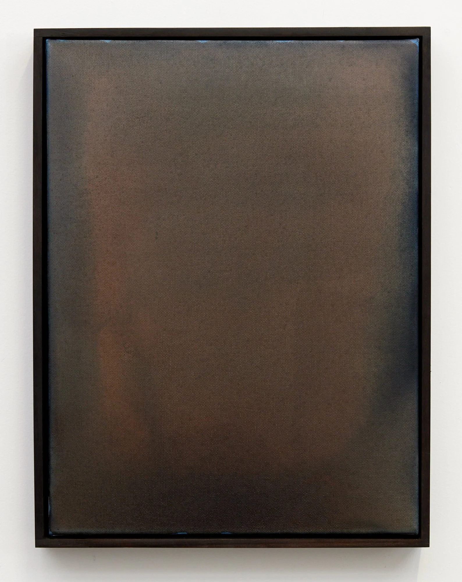 Nature Writing (Waipā) VII