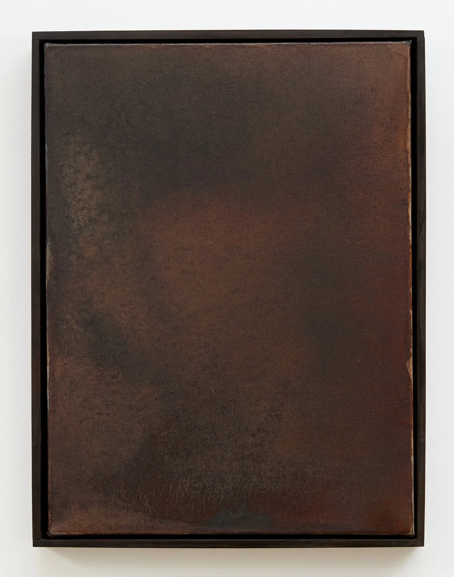 Nature Writing (Waipā) VIII