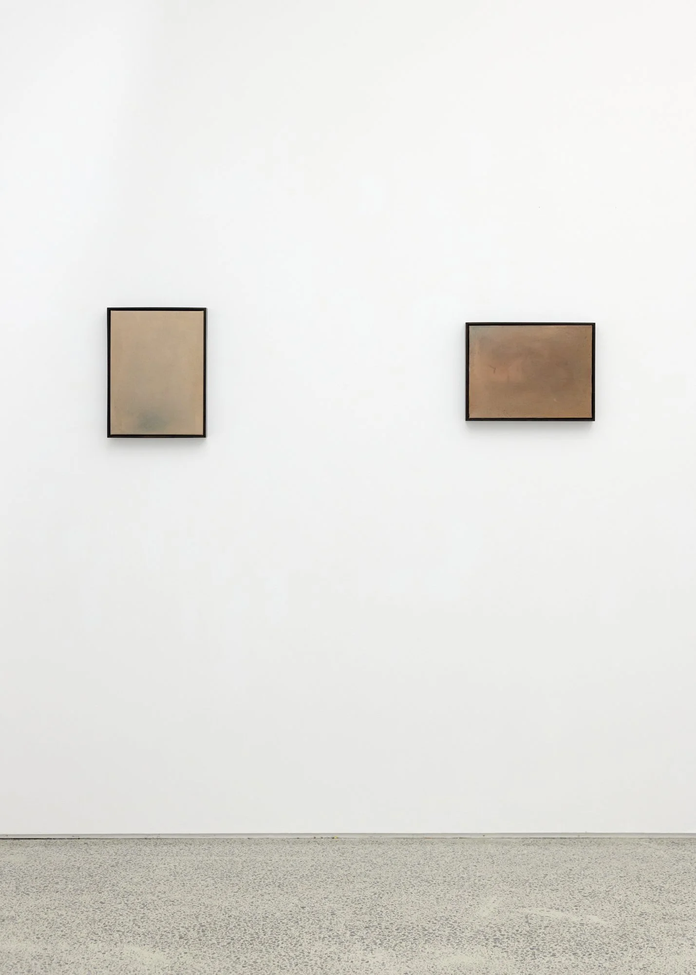 Nature Writing (Waipā) XI