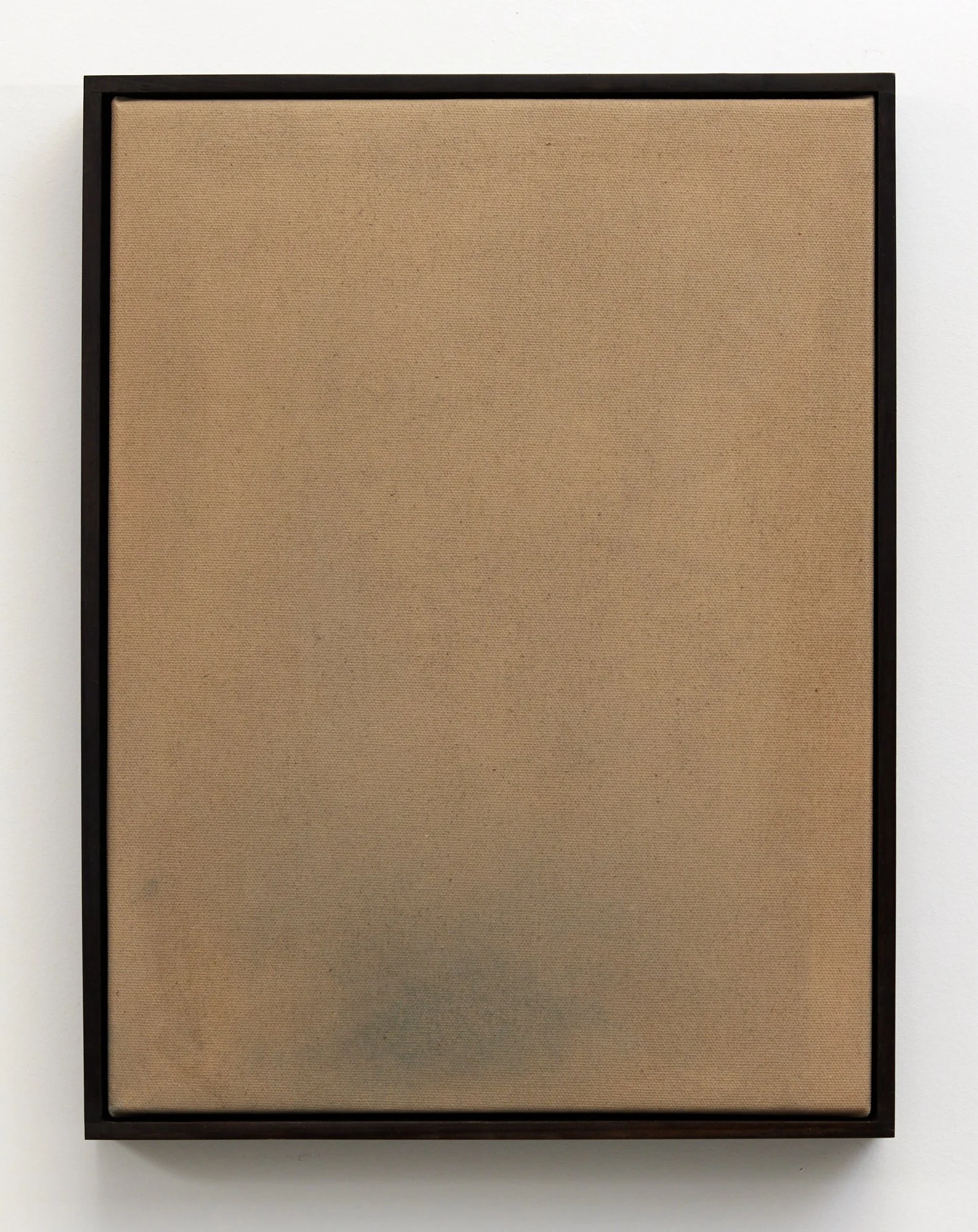 Nature Writing (Waipā) XI