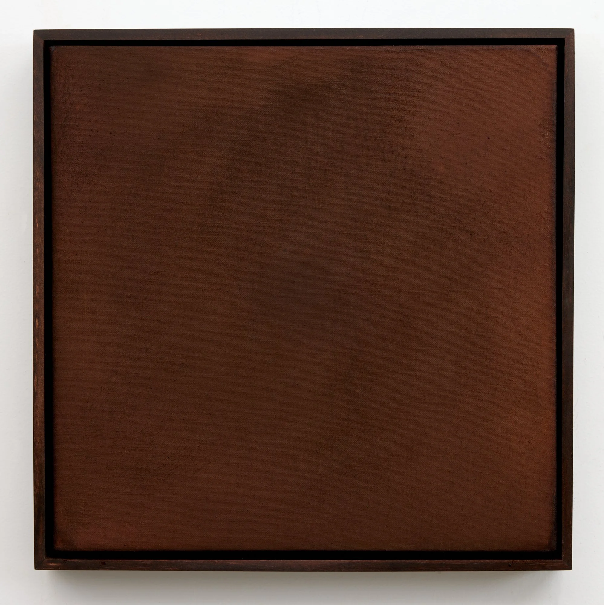 Nature Writing (Waipā) VI