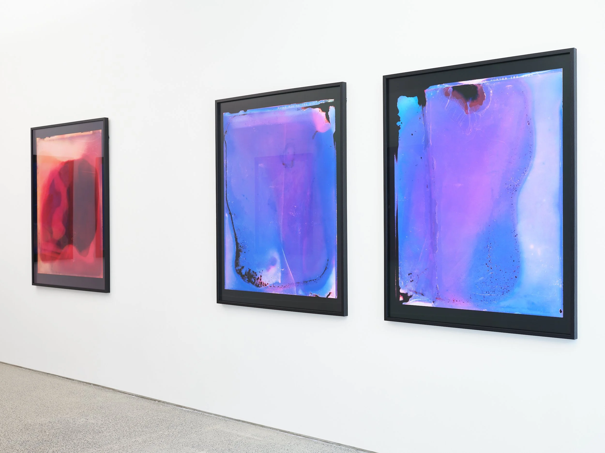 New Moon to New Moon, August 2019 II, 37°17’41.6”S 175°31’35.7”E