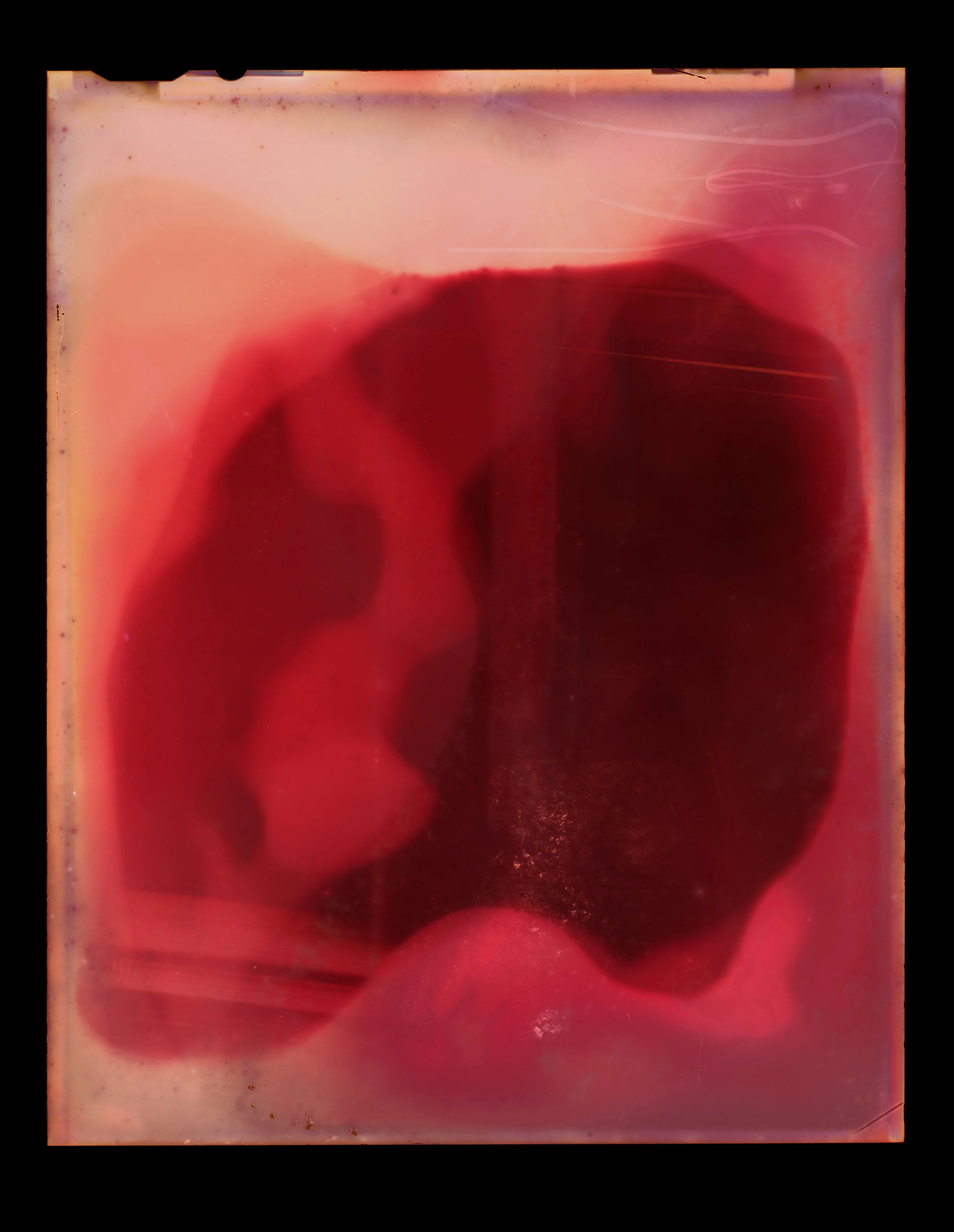 New Moon to New Moon, August 2019 II, 37°17’41.6”S 175°31’35.7”E