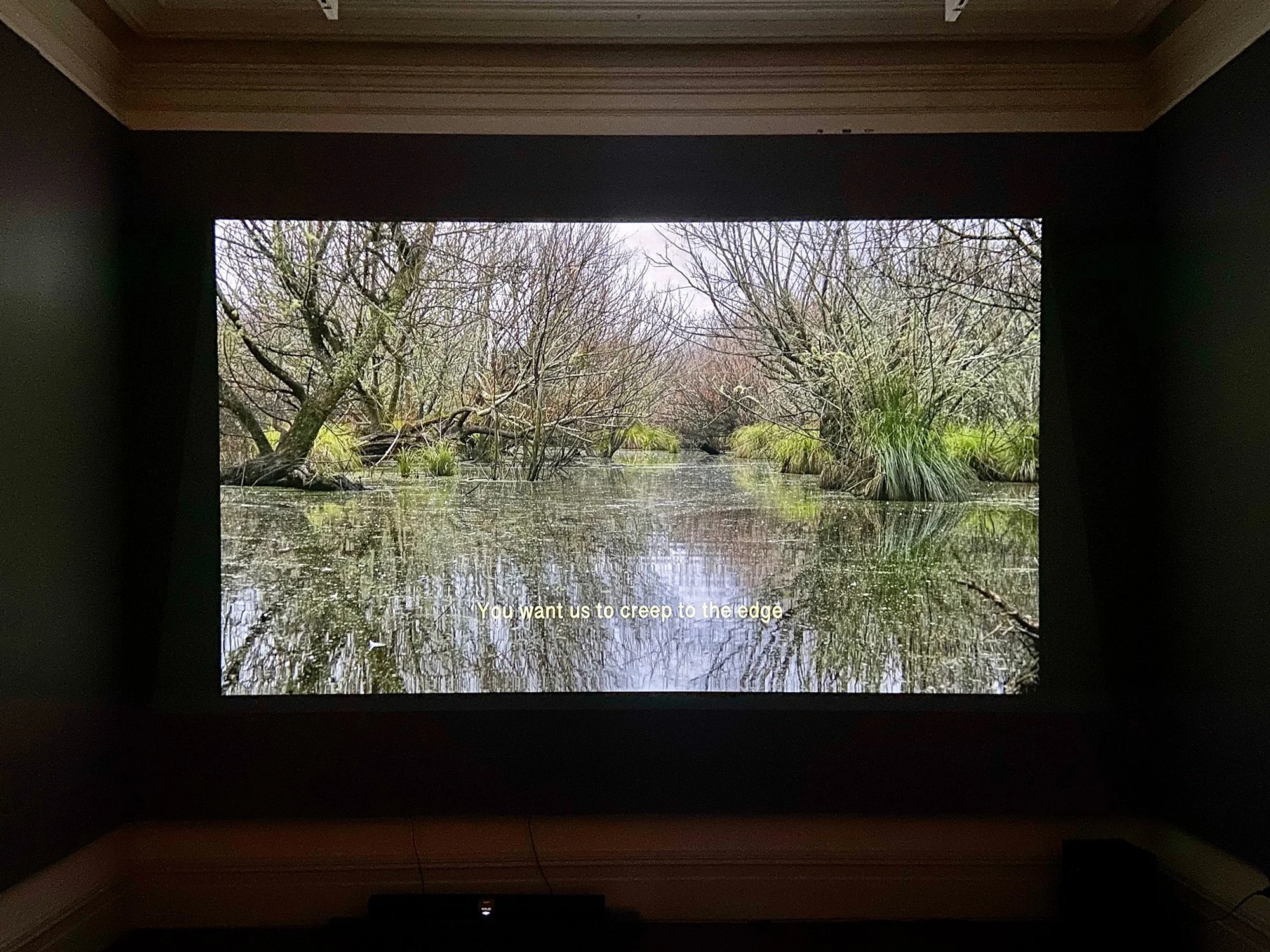 Listening to a Wet Land