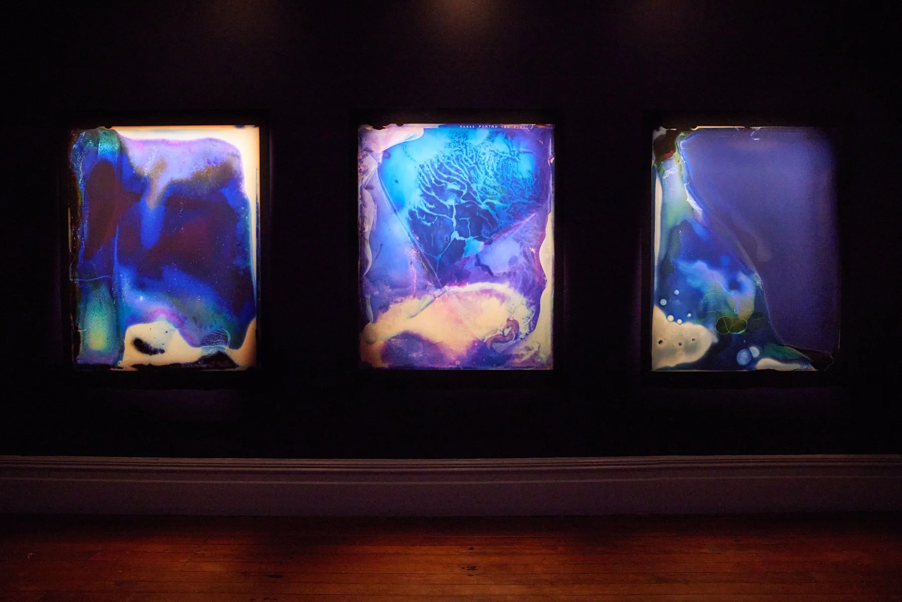 Listening to a Wet Land