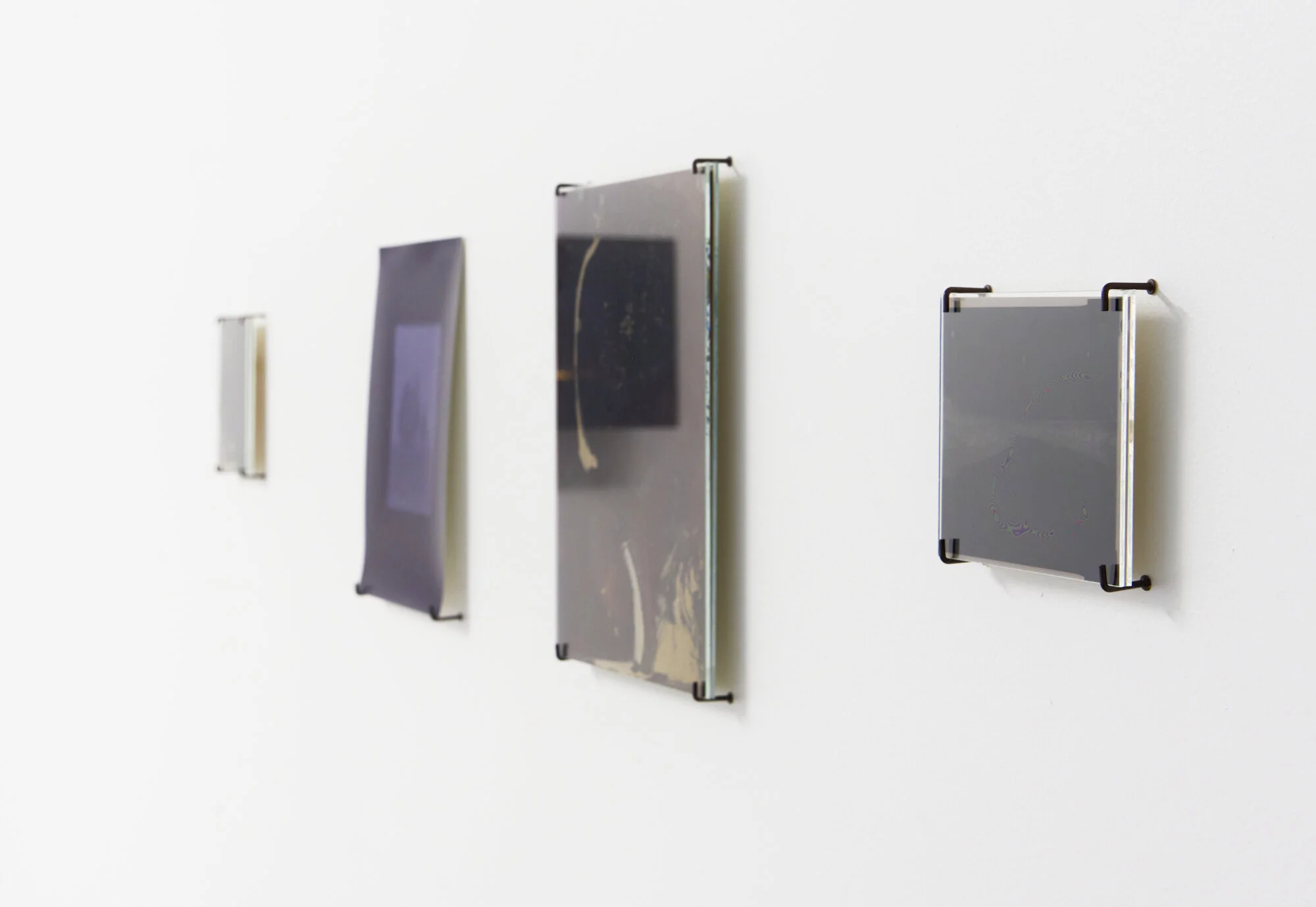 Kahikatea near Mangawhero road