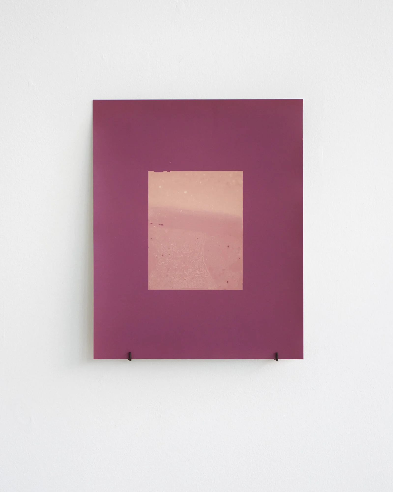 Kahikatea near Mangawhero road