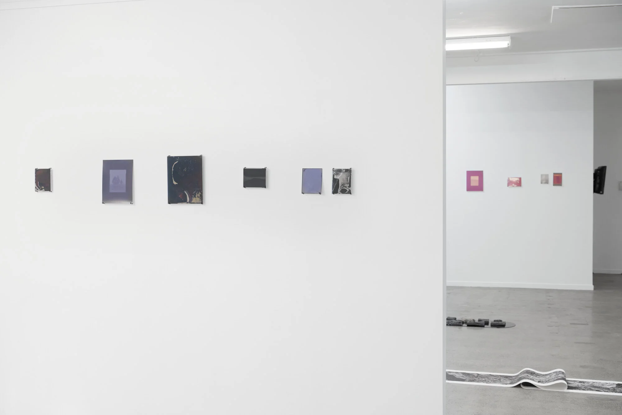 Kahikatea near Mangawhero road