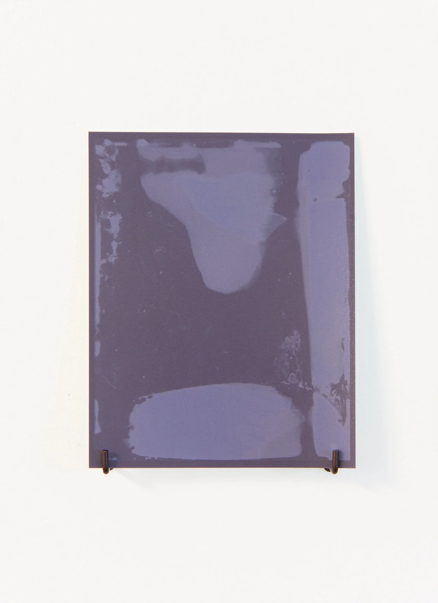 Kahikatea near Mangawhero road