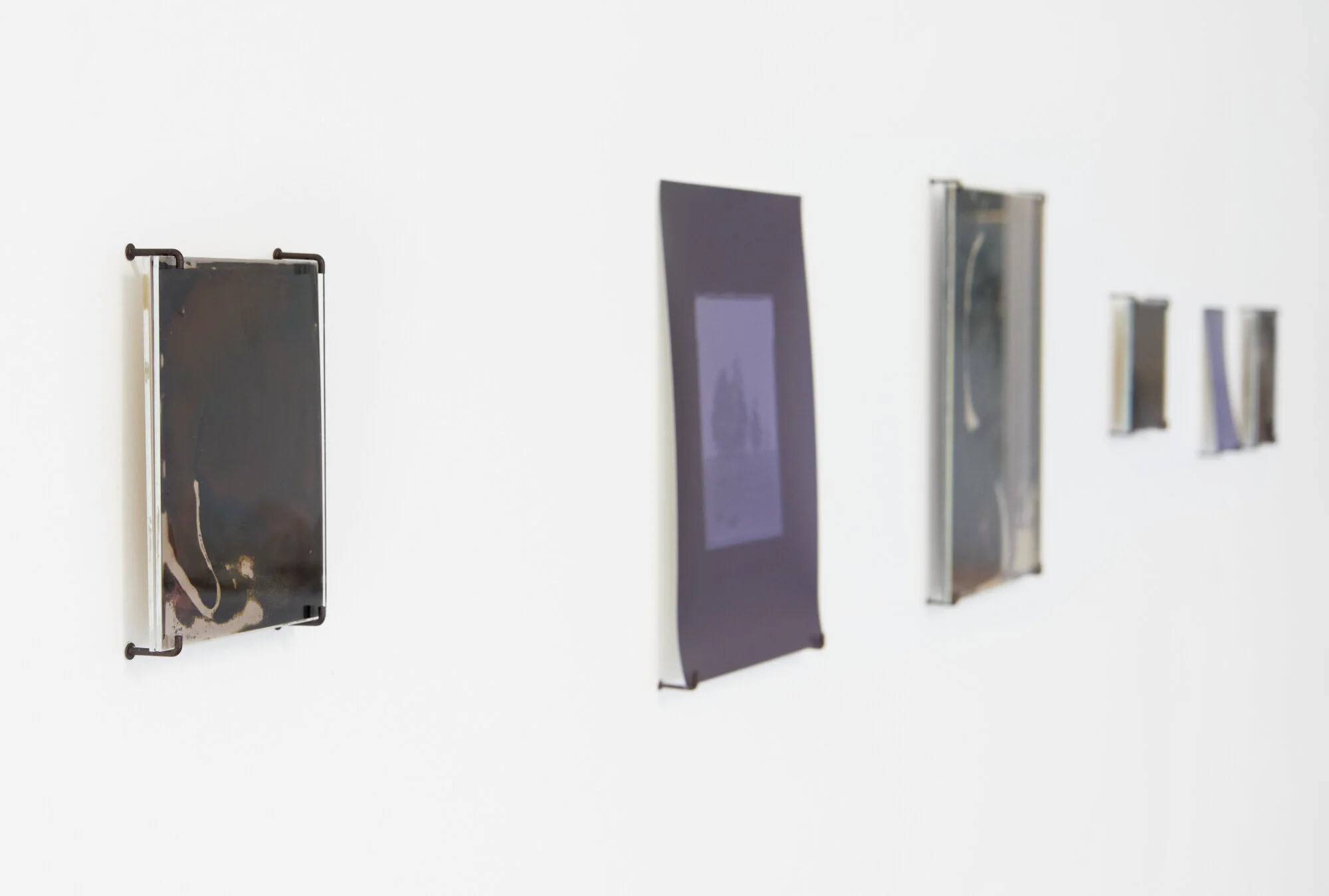 Kahikatea near Mangawhero road