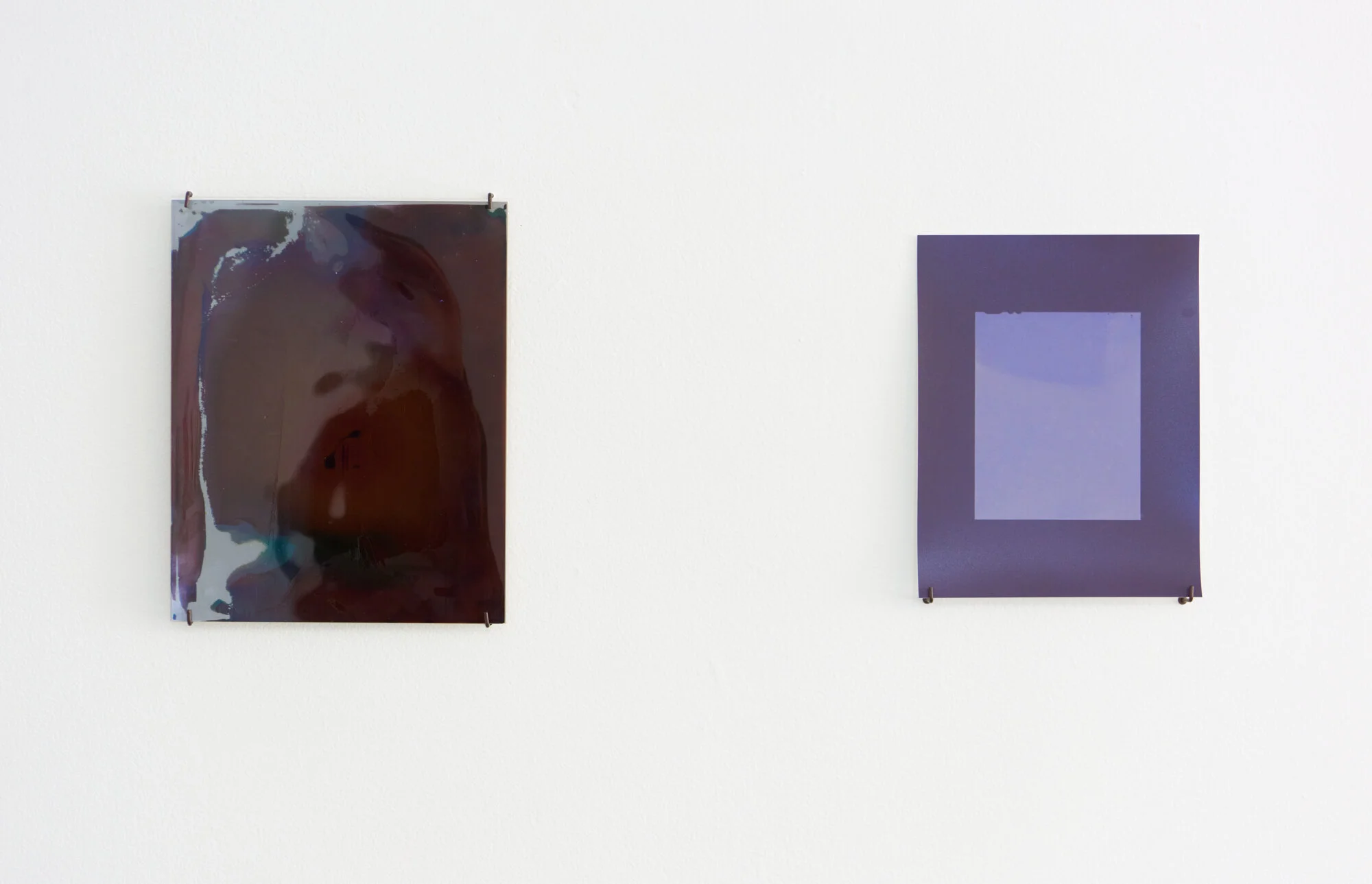 Kahikatea near Mangawhero road