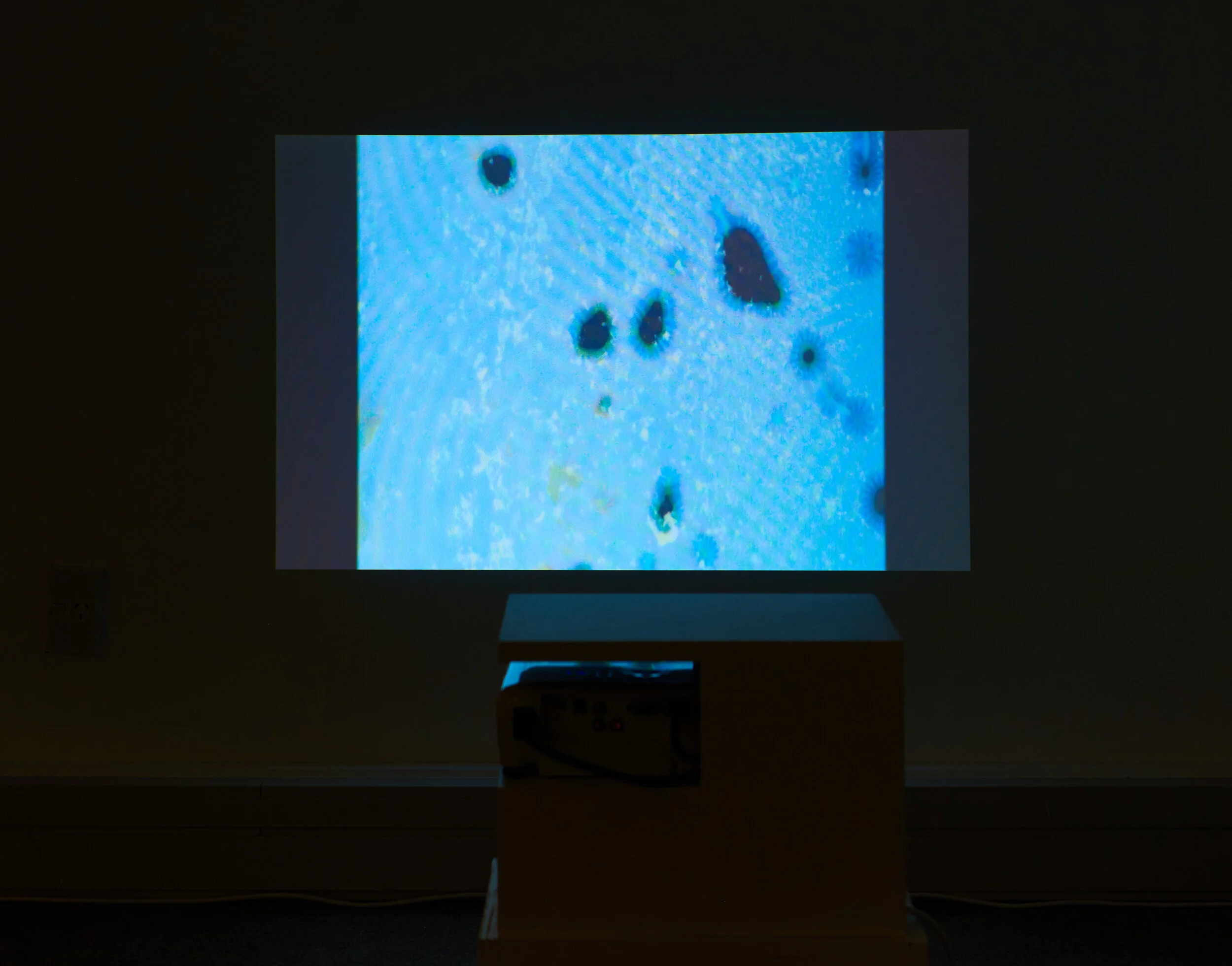 Directional Listening, 2021