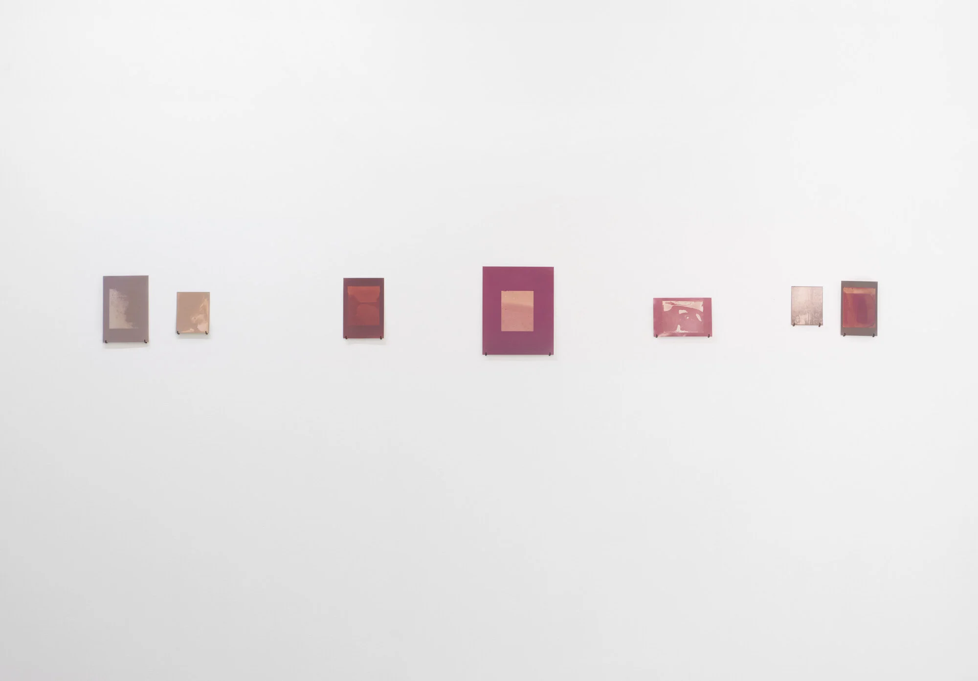 Kahikatea remnant in Kopuatai southwest corner