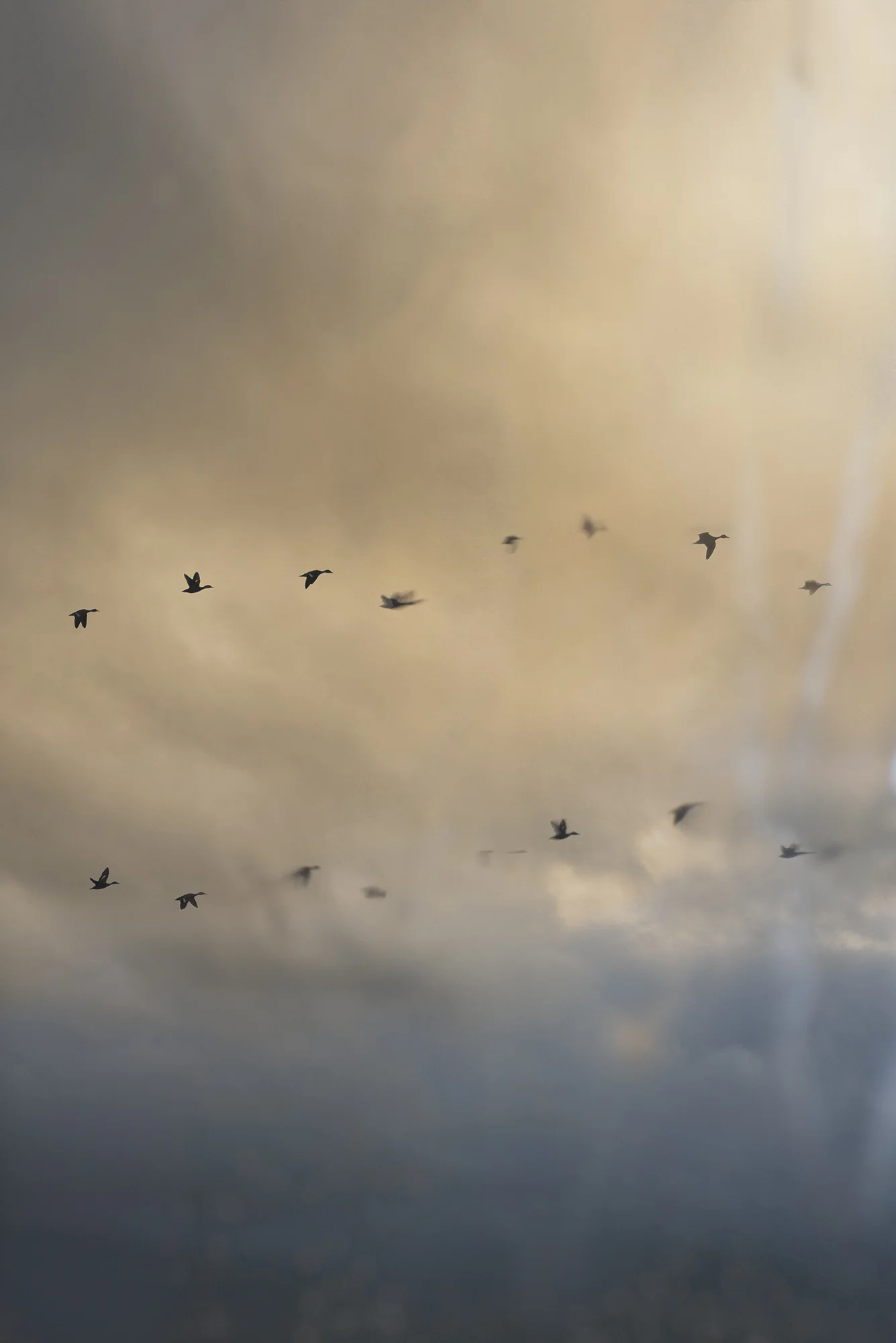 Morning Flight Over The Cut    2018    Archival Pigment Print    Ed of 5. 814 x 1220mm