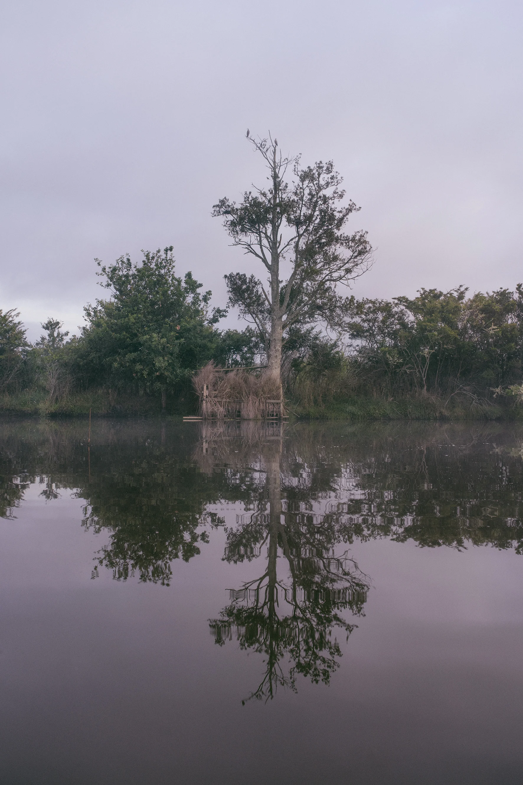 Maimai, Small Pond, Horseshoe Bend