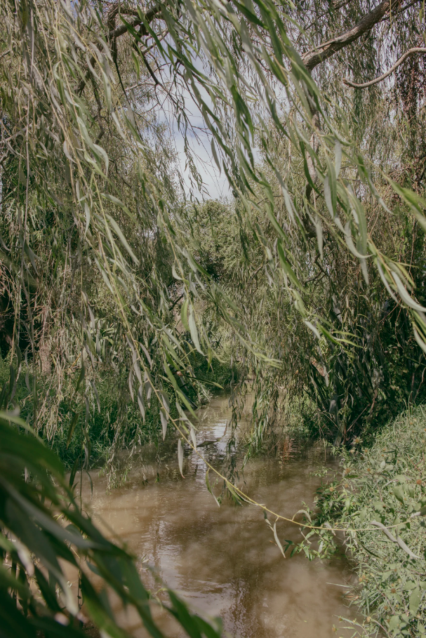 Canal, From the River East