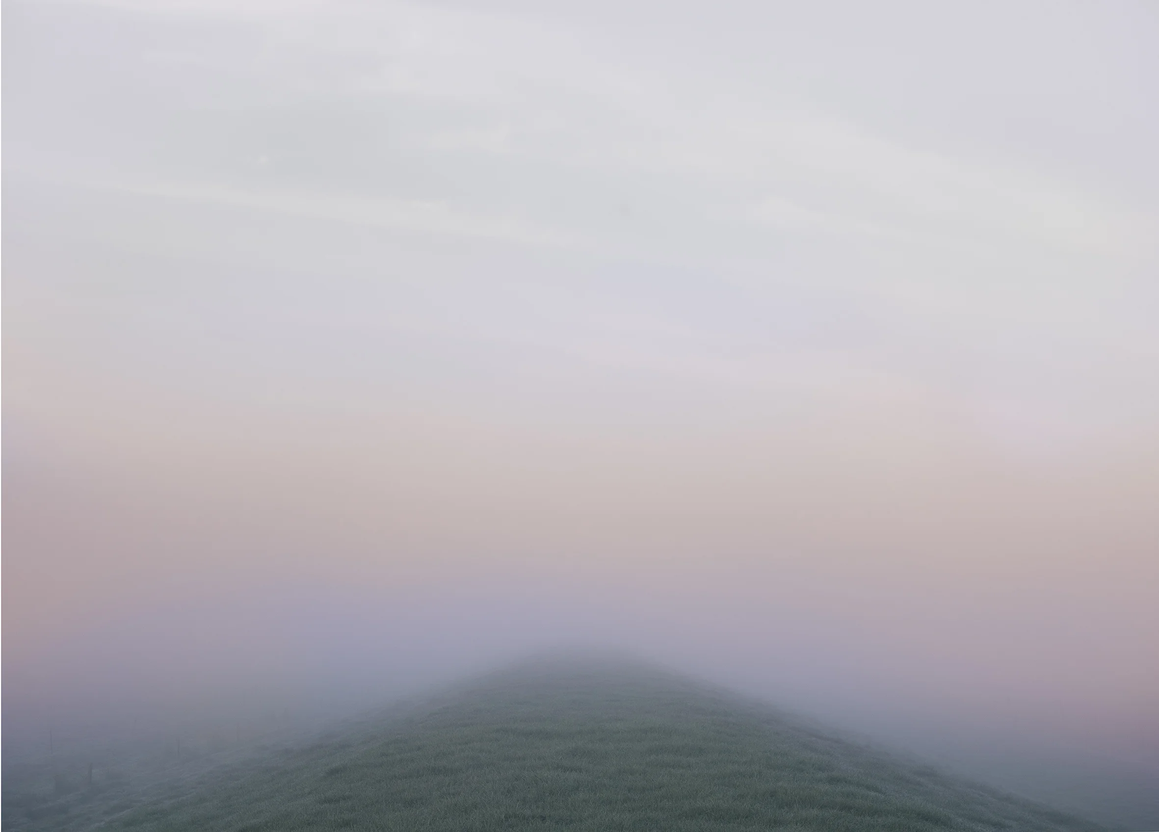 Stopbank, Waihou Valley