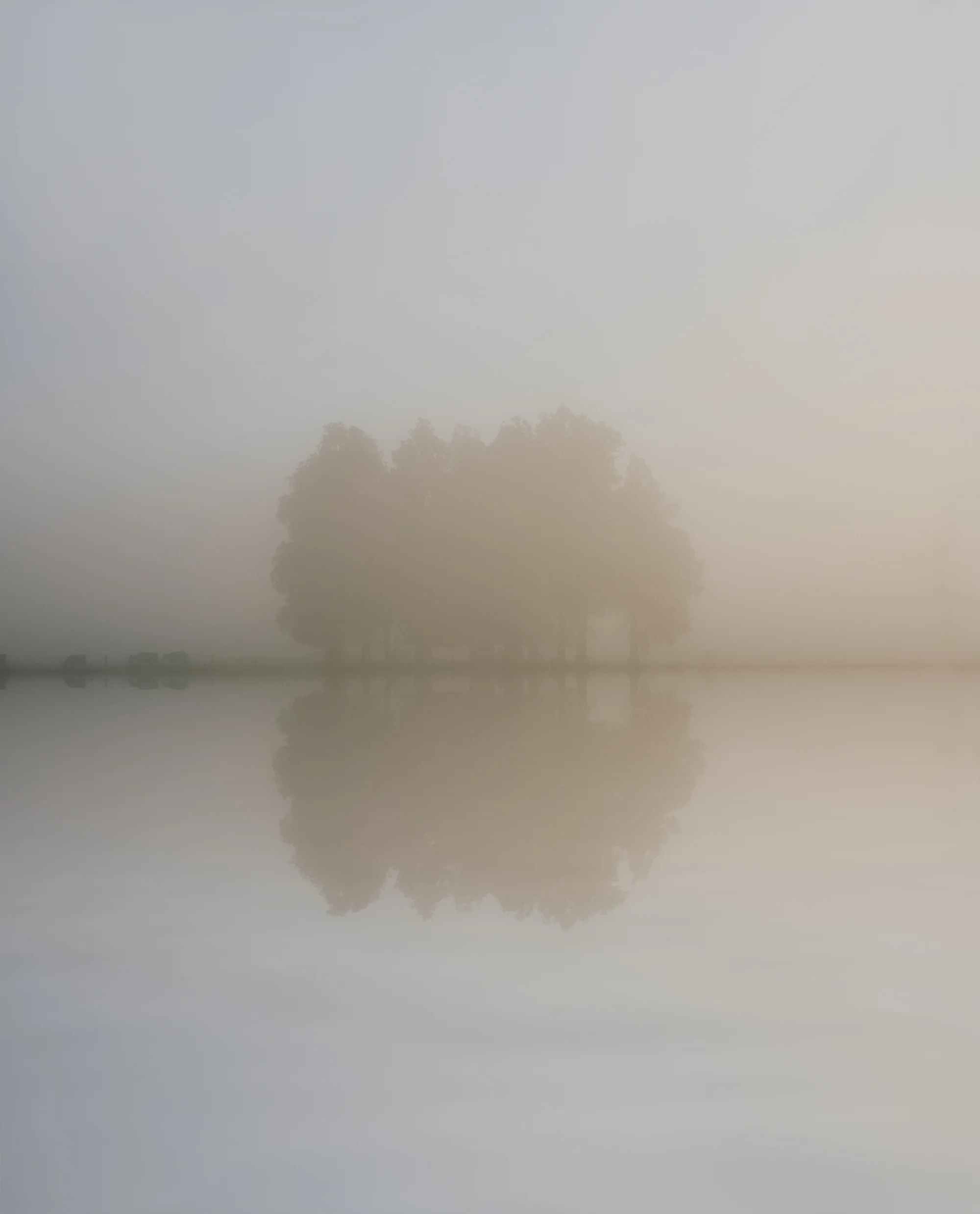 Rangiora Road, Waihou Valley