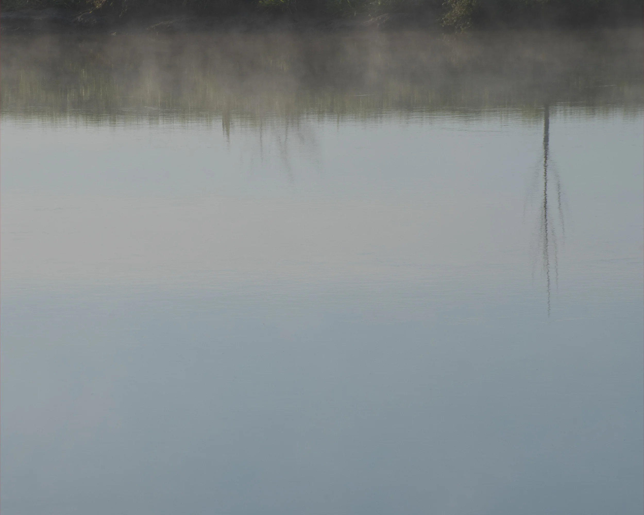 "Near this spot Capt Cook landed on the banks of the river he named the Thames. 20th Nov 1769". Waihou River