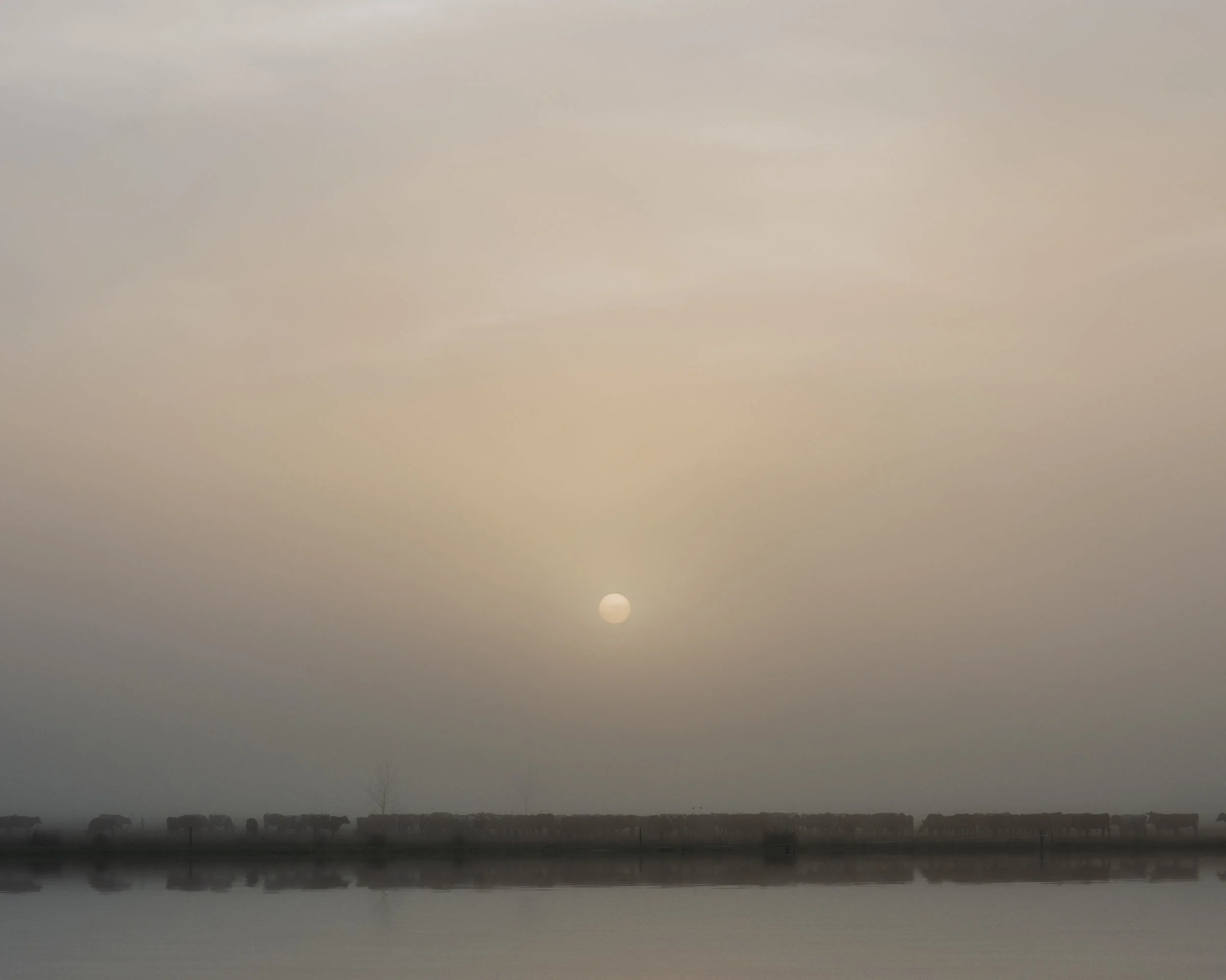 Old Netherton Road, Waihou Valley