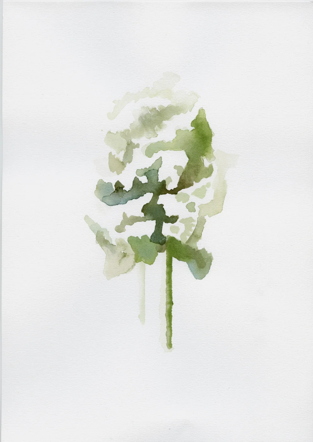 Kahikatea Study (Patetonga) III