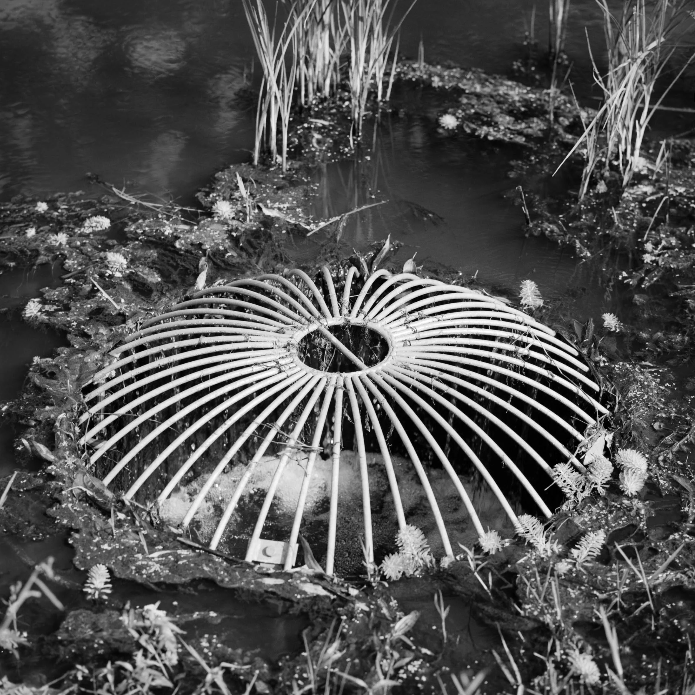 Stormwater Reserve II