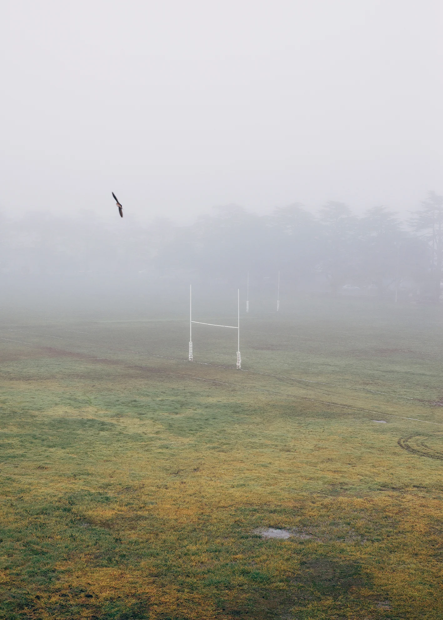 Everything Returns To The Sea