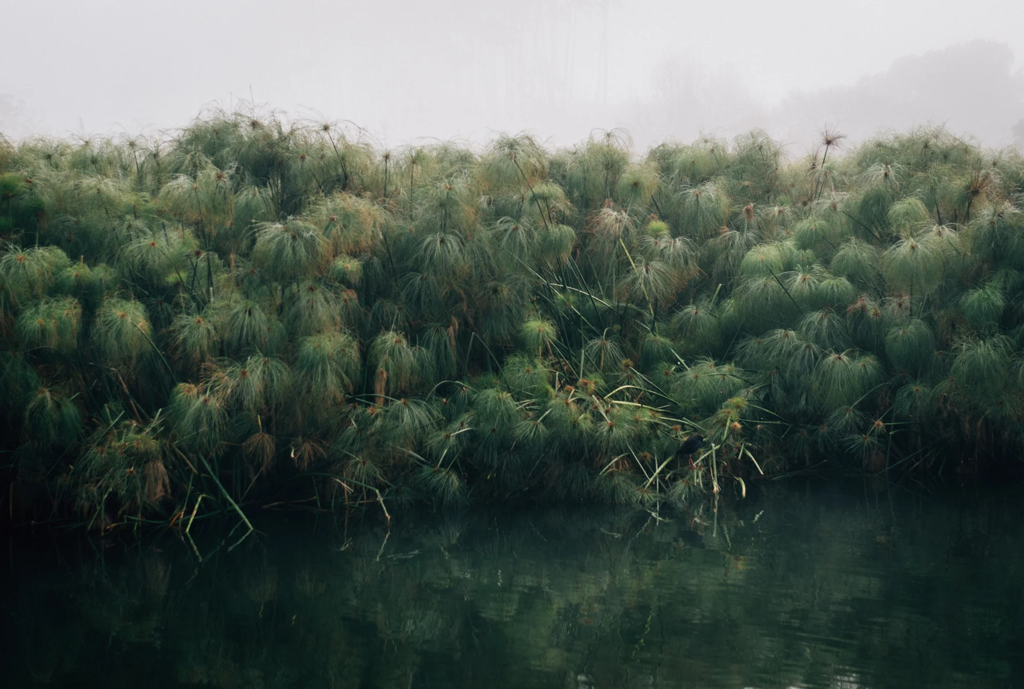 Sketch I (Regarding Tomorrow)