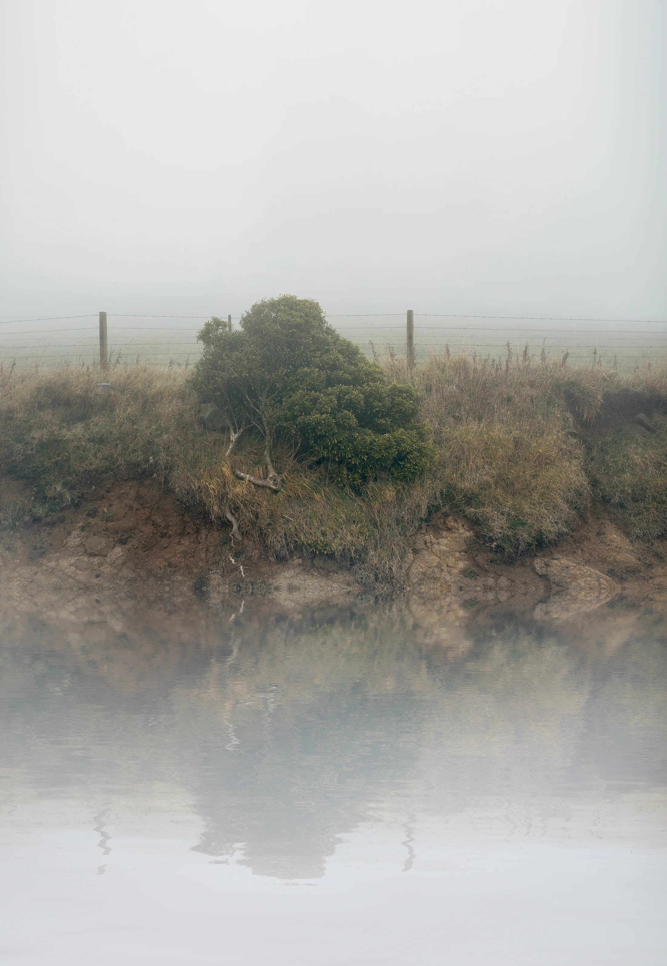 Ōtepoti Peninsular, August