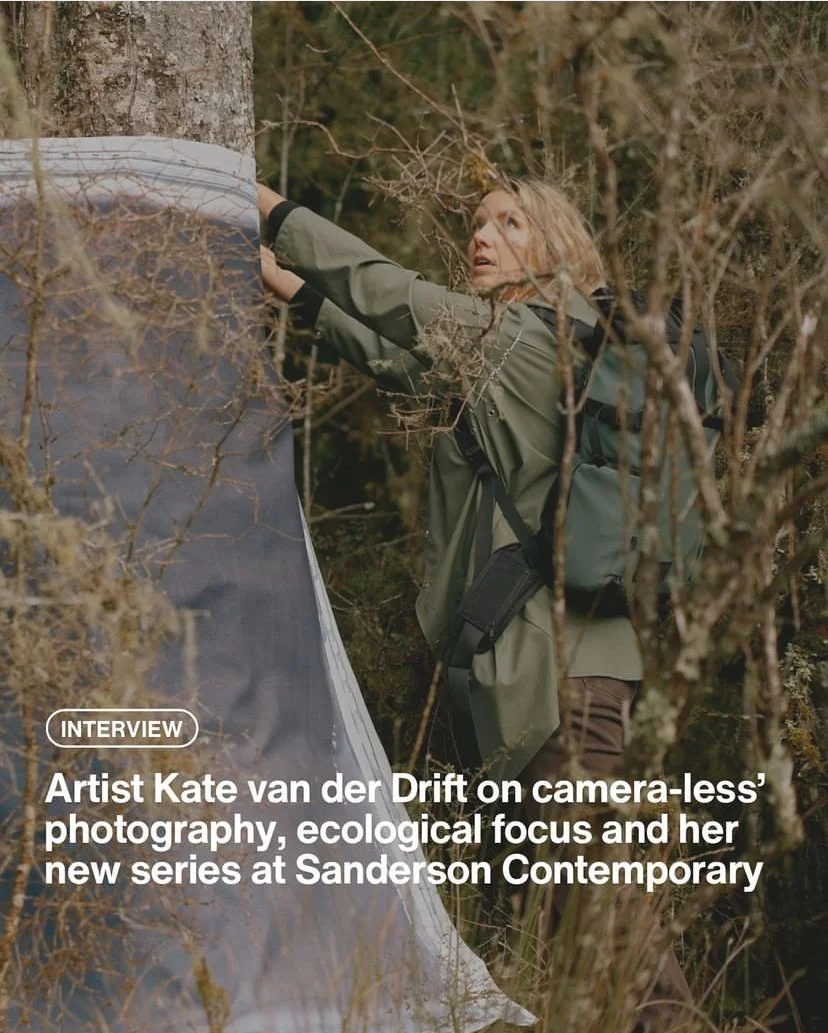 Interview With Sauce Magazine, Artist Kate van der Drift on camera-less’ photographs, ecological focus and her new series at Sanderson
