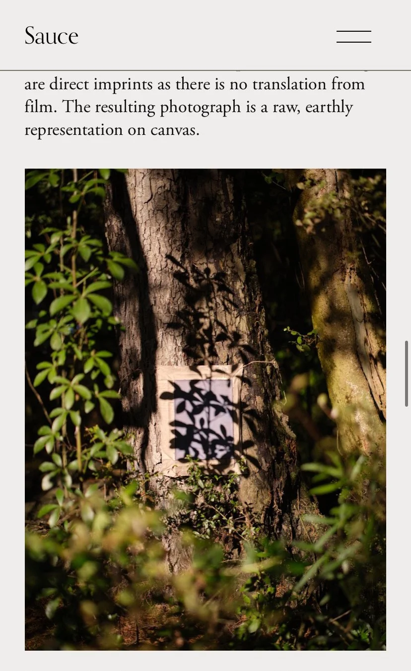 Interview With Sauce Magazine, Artist Kate van der Drift on camera-less’ photographs, ecological focus and her new series at Sanderson