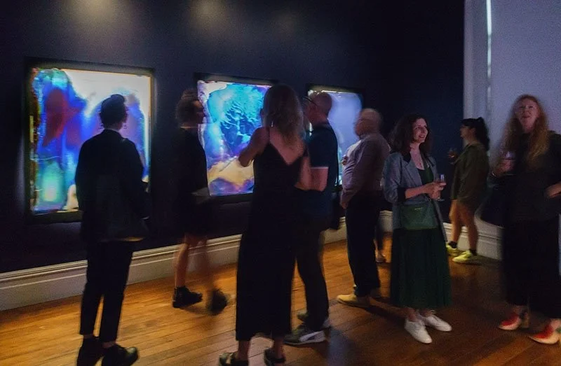 OPENING OF LISTENING TO A WET LAND AT PAH HOMESTEAD  Exhibition photographs courtesy of Sait at Arts Diary 