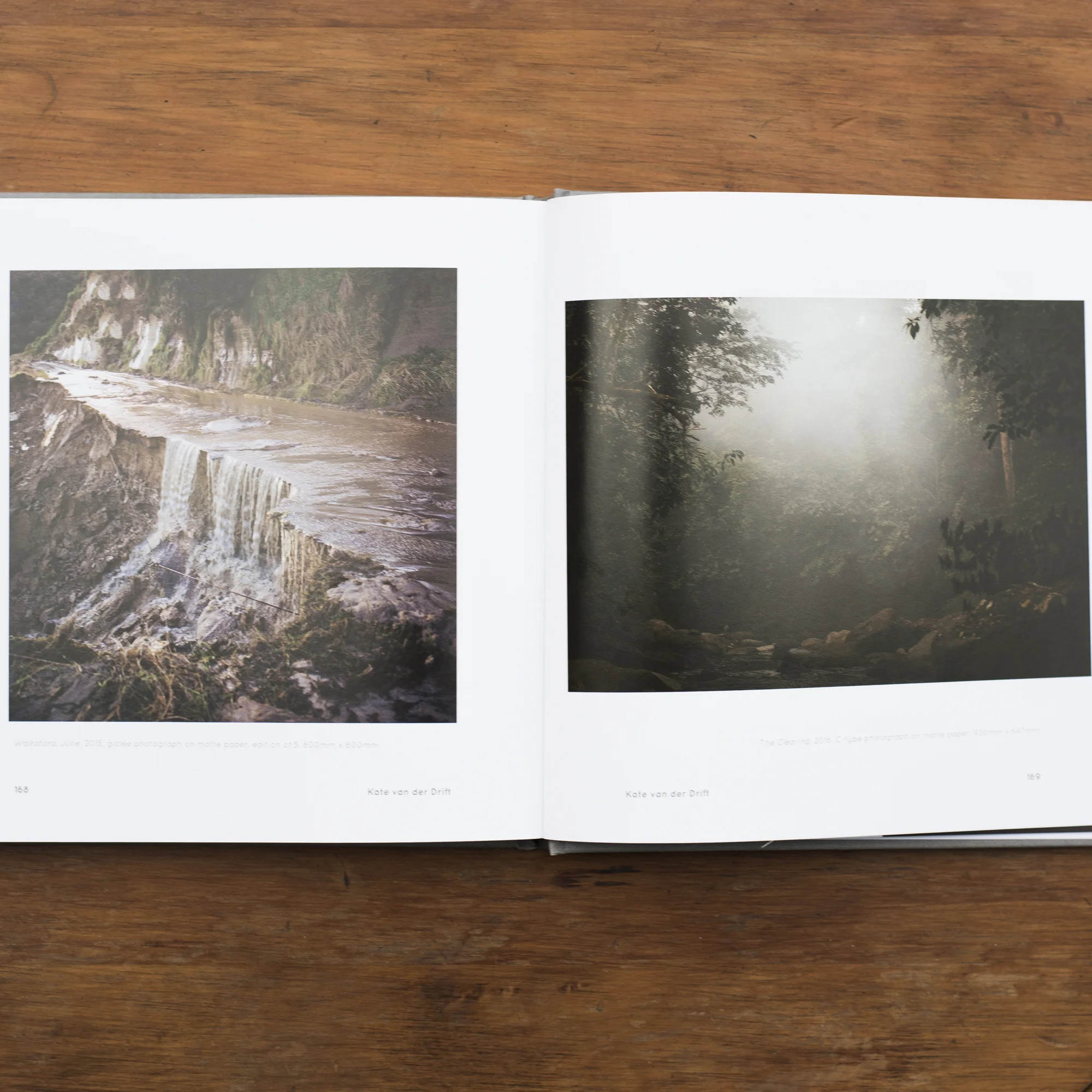 ESSAY BY MARIA WALLS IN 20 ARTISTS AND 20 WRITERS 2017