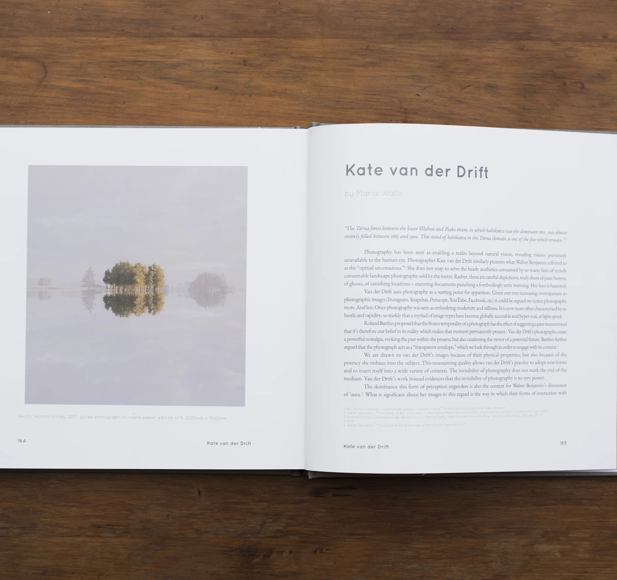 ESSAY BY MARIA WALLS IN 20 ARTISTS AND 20 WRITERS 2017