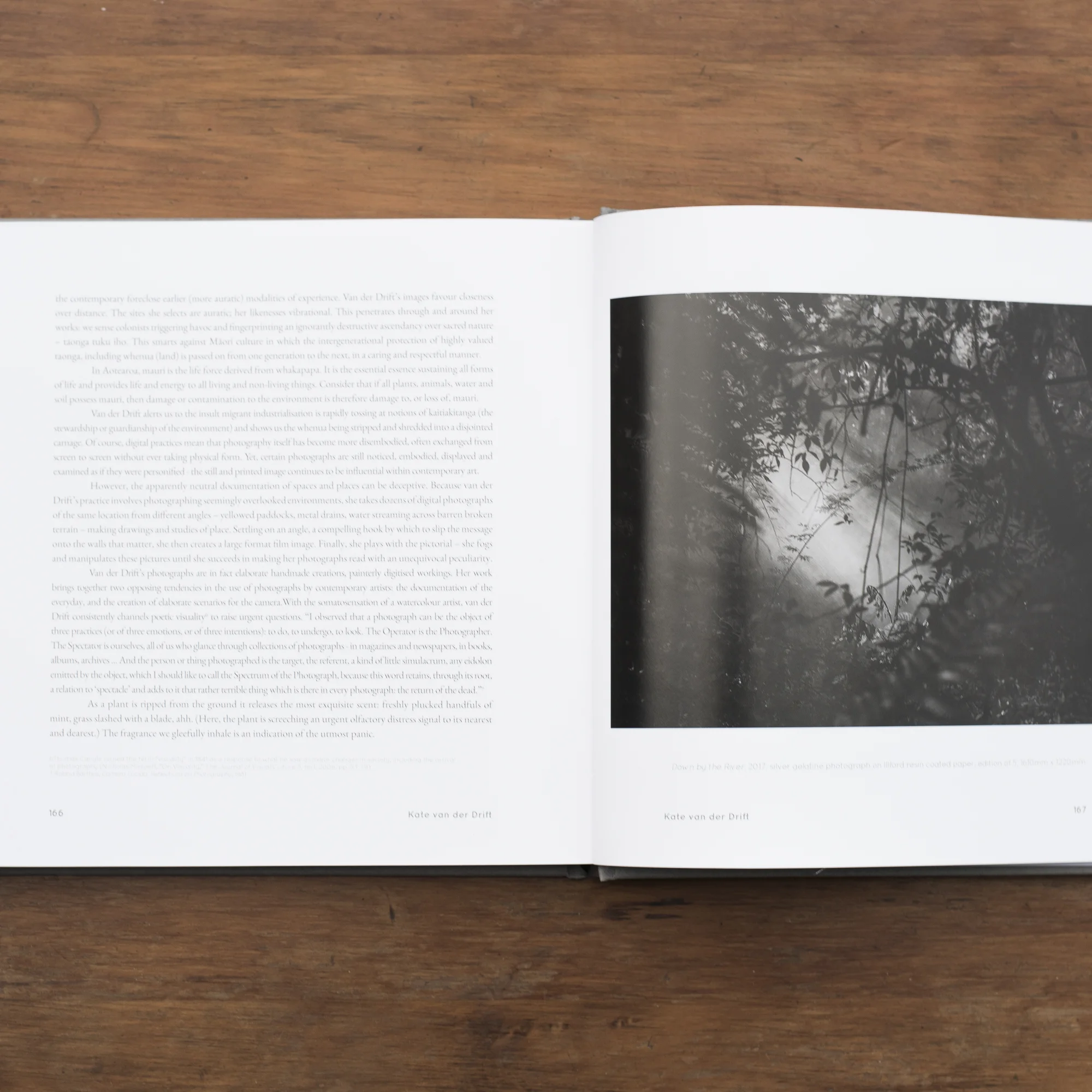 ESSAY BY MARIA WALLS IN 20 ARTISTS AND 20 WRITERS 2017