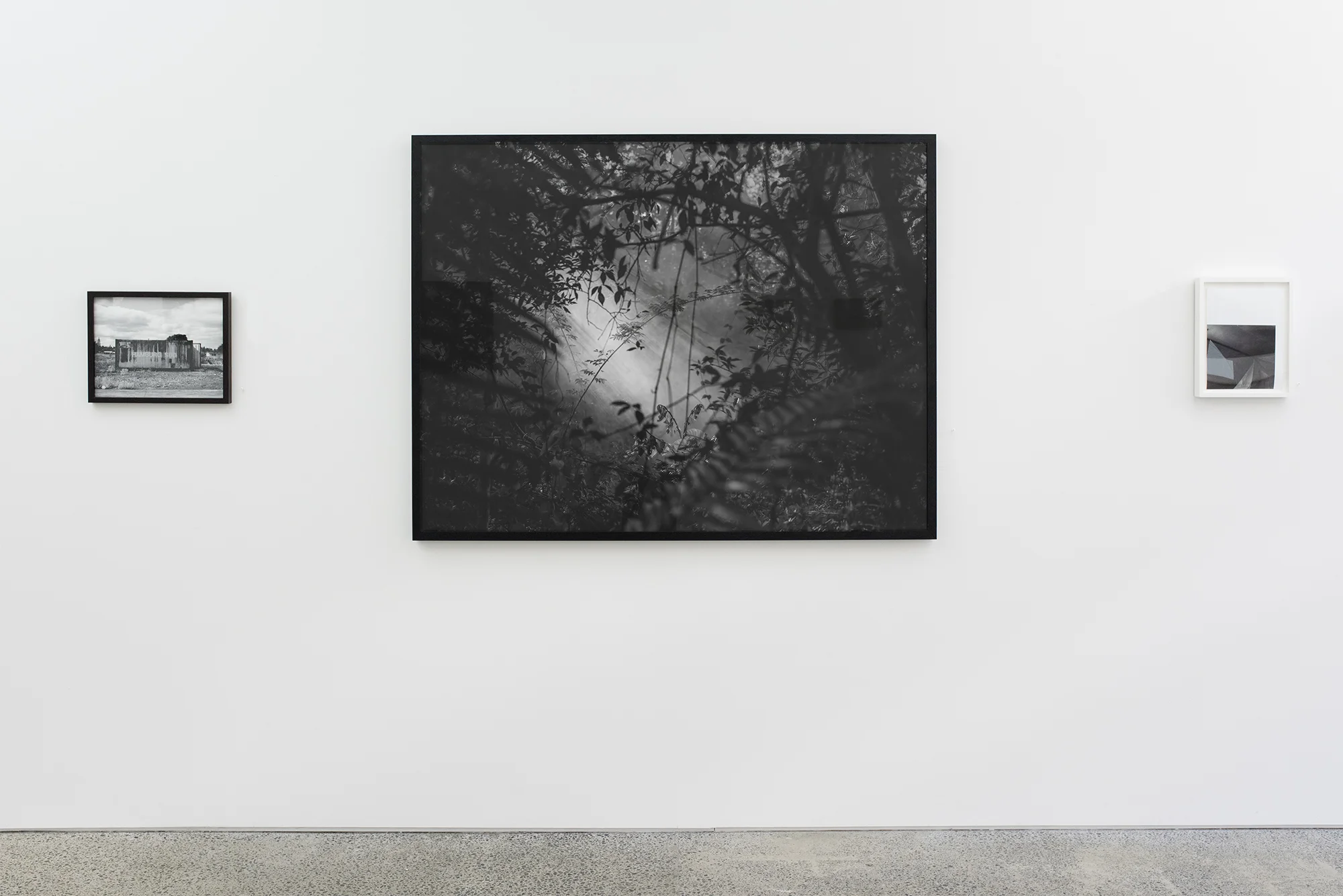 SINGLE CHANNEL / 2017 AUCKLAND FESTIVAL OF PHOTOGRAPHY