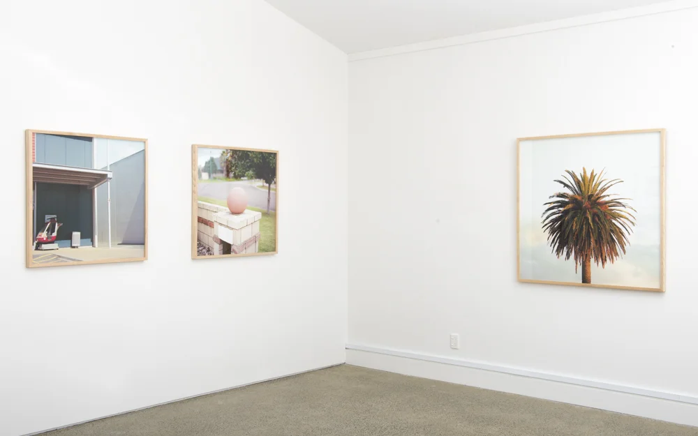 NEW WORK / EVENTUAL EFFLORESCENCE  AUCKLAND FESTIVAL OF PHOTOGRAPHY