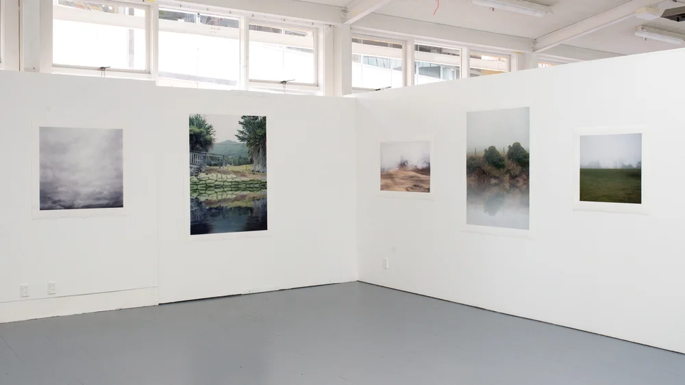 THE OASIS AND THE MIRAGE AT ELAM SCHOOL OF FINE ARTS, 2015