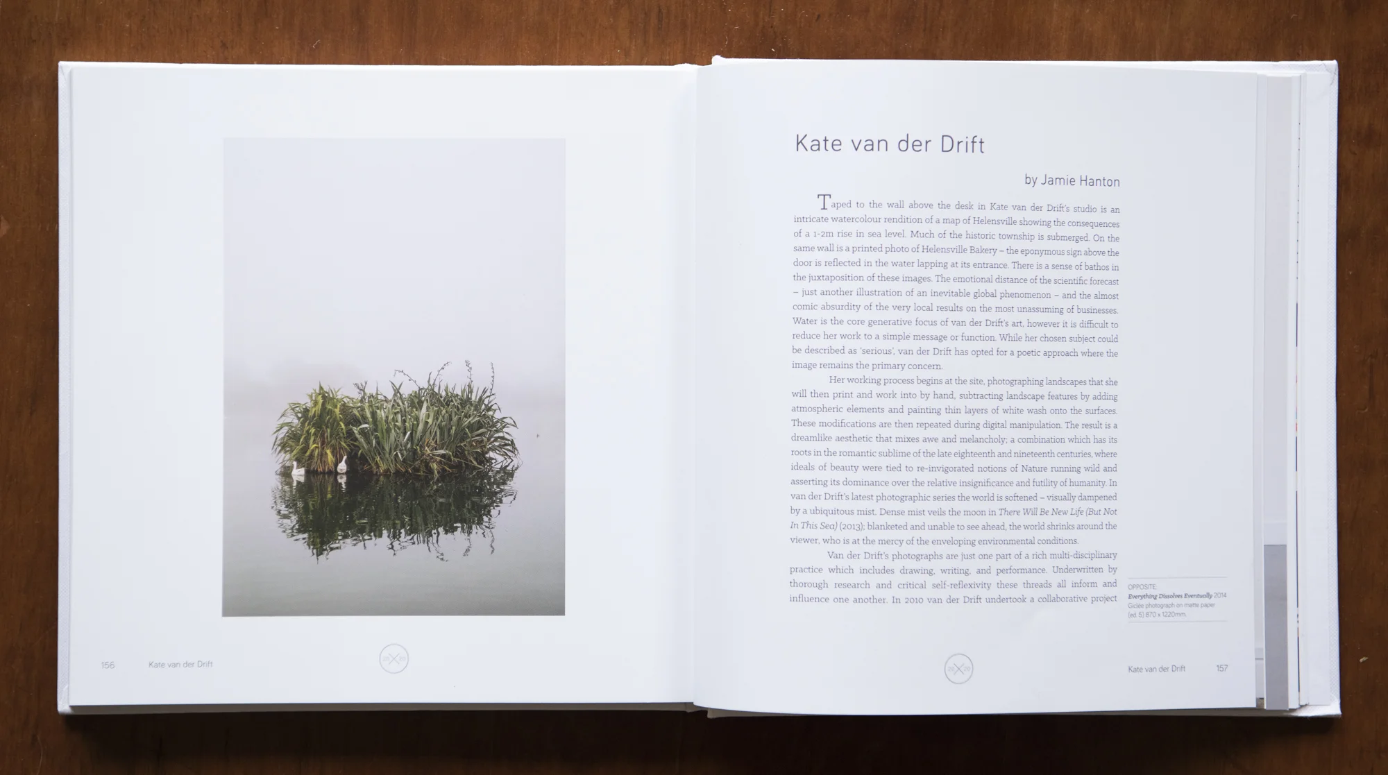 ESSAY IN 20/20 20 ARTISTS AND 20 WRITERS BOOK    Essay by Jamie Hanton about my work in 20/20, 20 Artists and 20 Writers, 2016