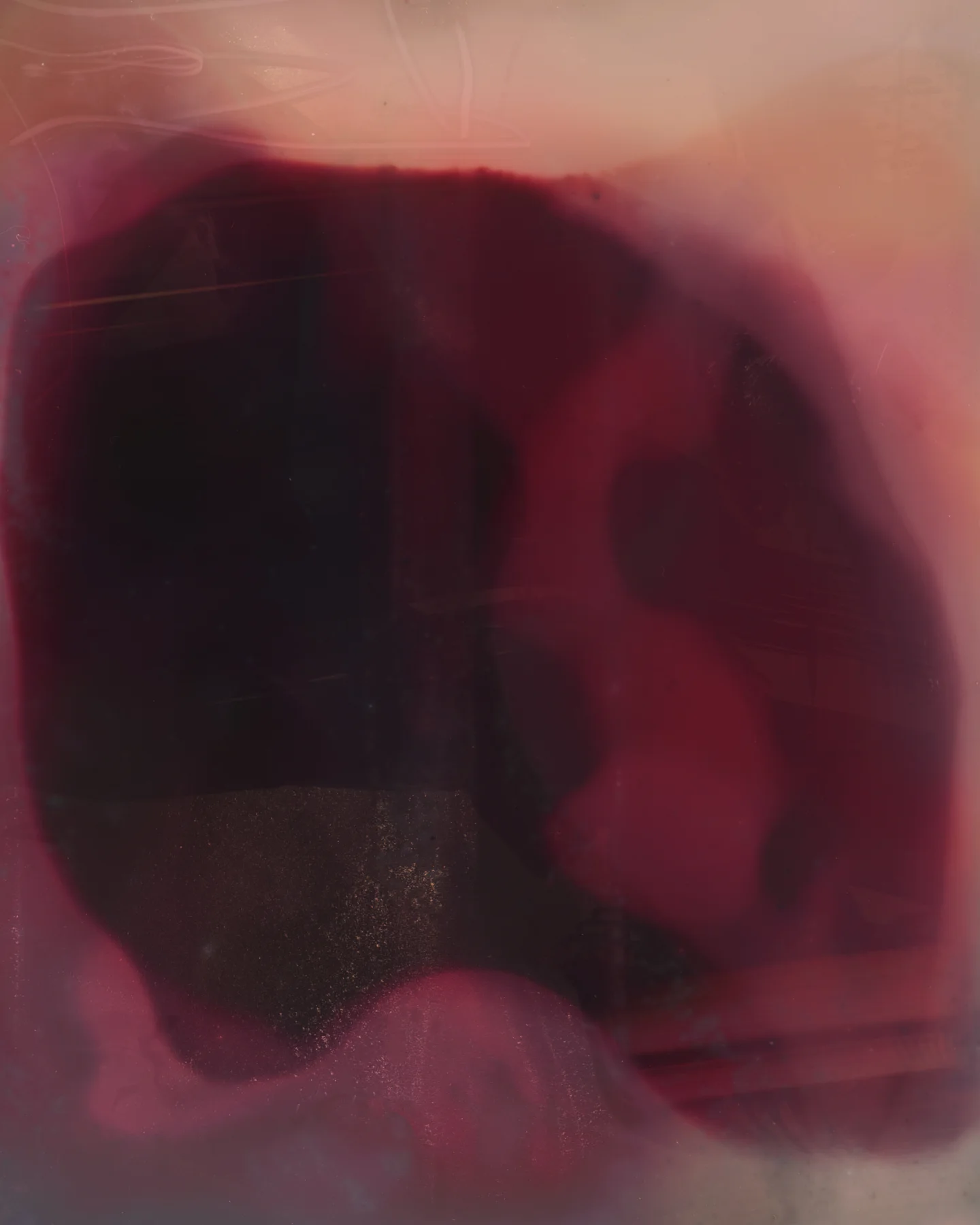 New Moon to New Moon, August 37°17'41.6"S 175°31'35.7"E. 