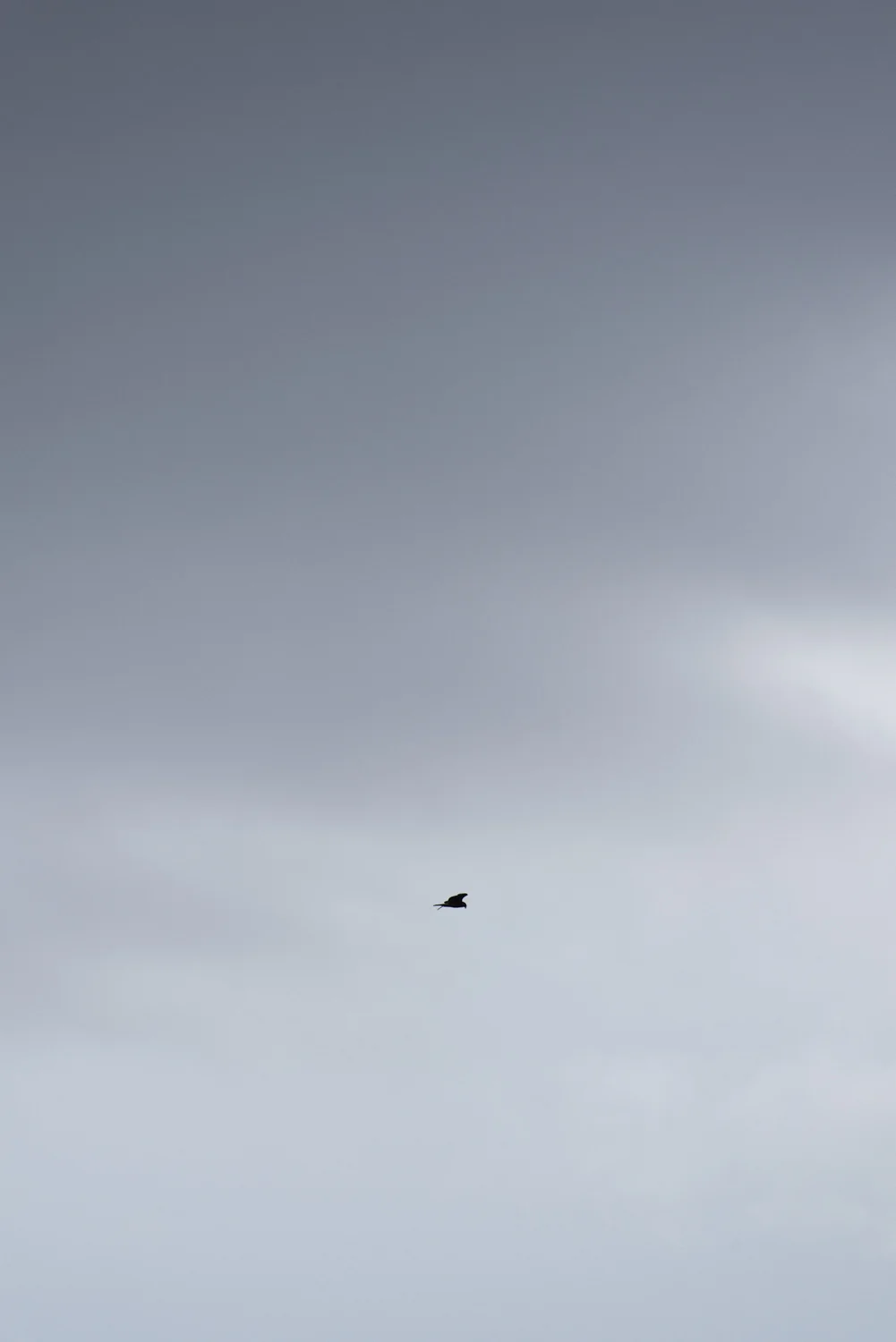 Kāhu, Eastern Margin