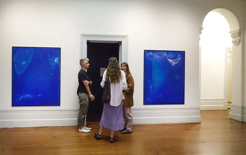 OPENING OF LISTENING TO A WET LAND AT PAH HOMESTEAD  Exhibition photographs courtesy of Sait at Arts Diary 