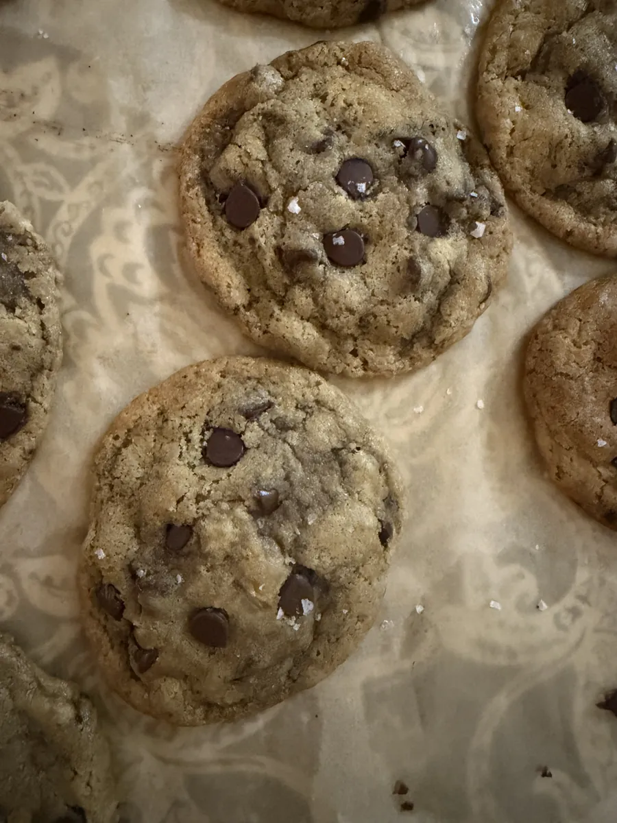 Freshly baked chocolate chunk cookies