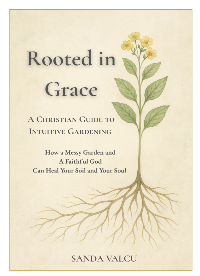 Rooted in Grace: A Christian Guide to Intuitive Gardening by Sanda Valcu