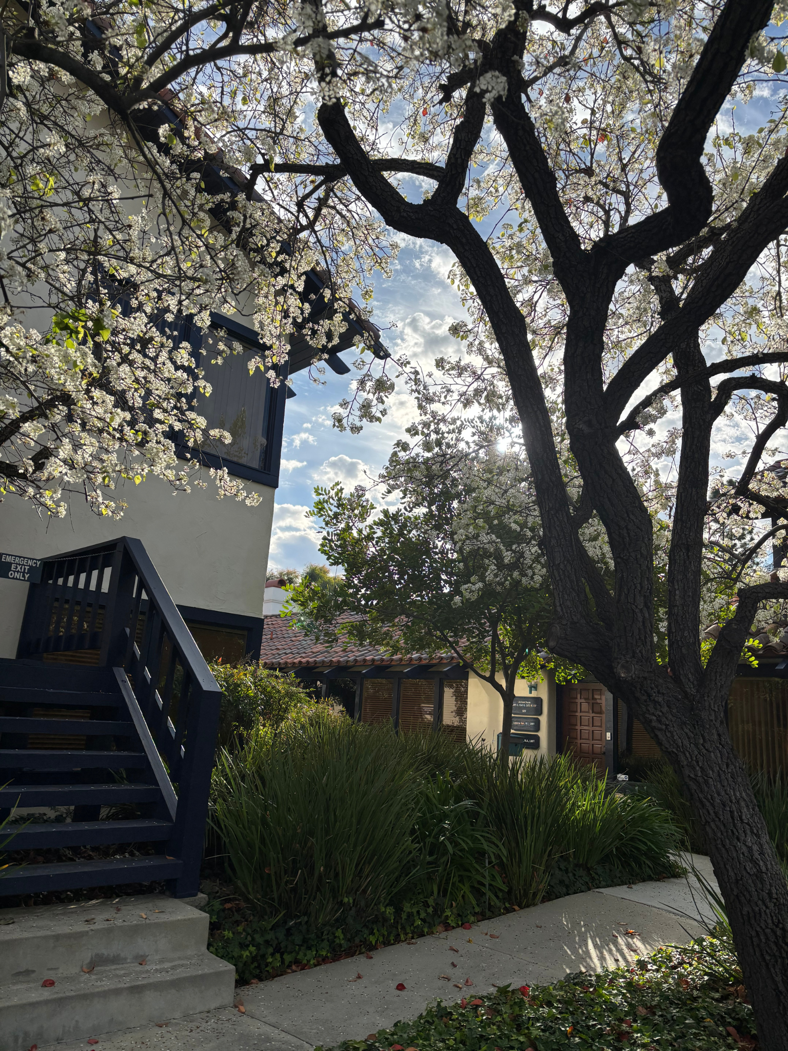 Path to Amelia Mora Mars therapy office in Westlake Village