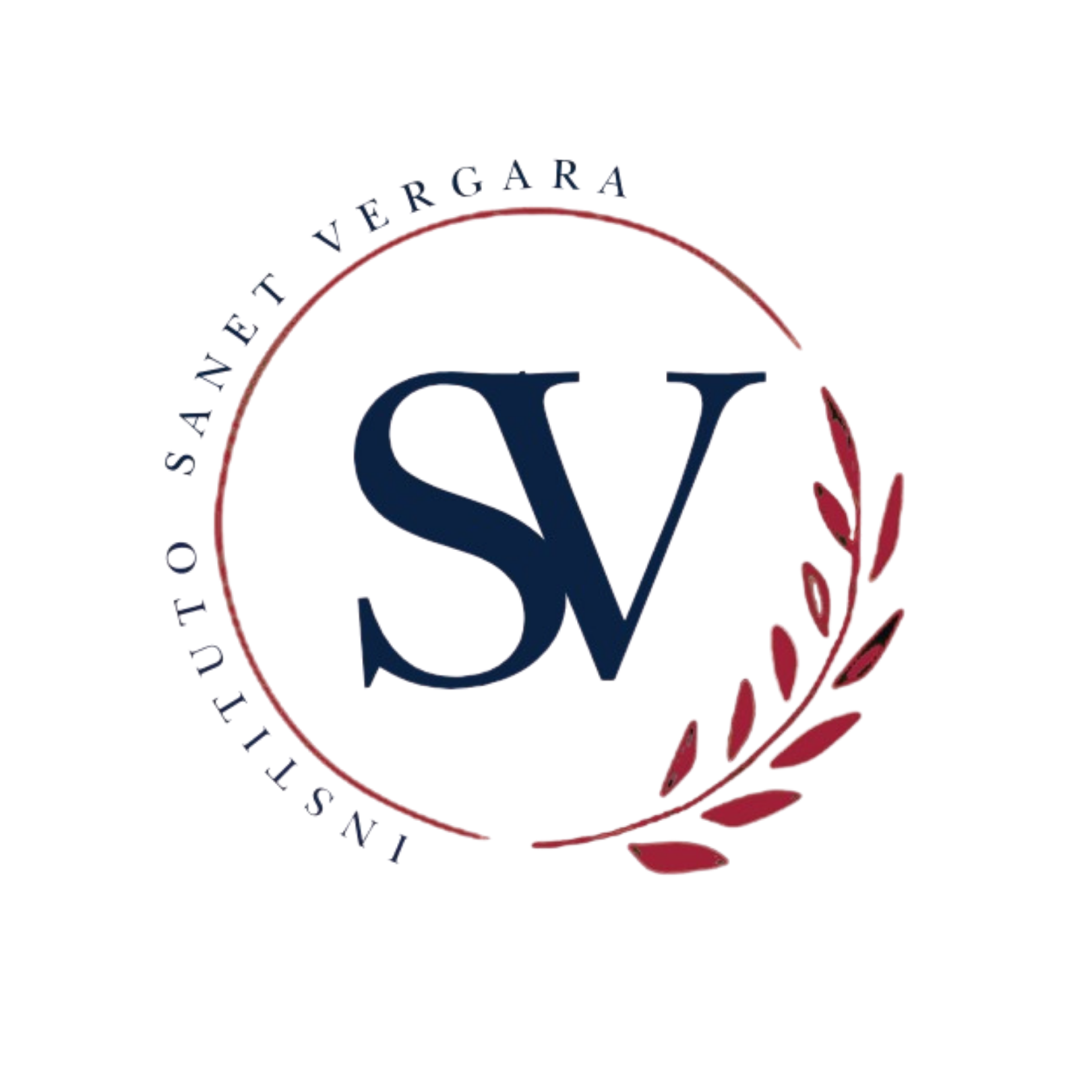 Instituto Sanet Vergara