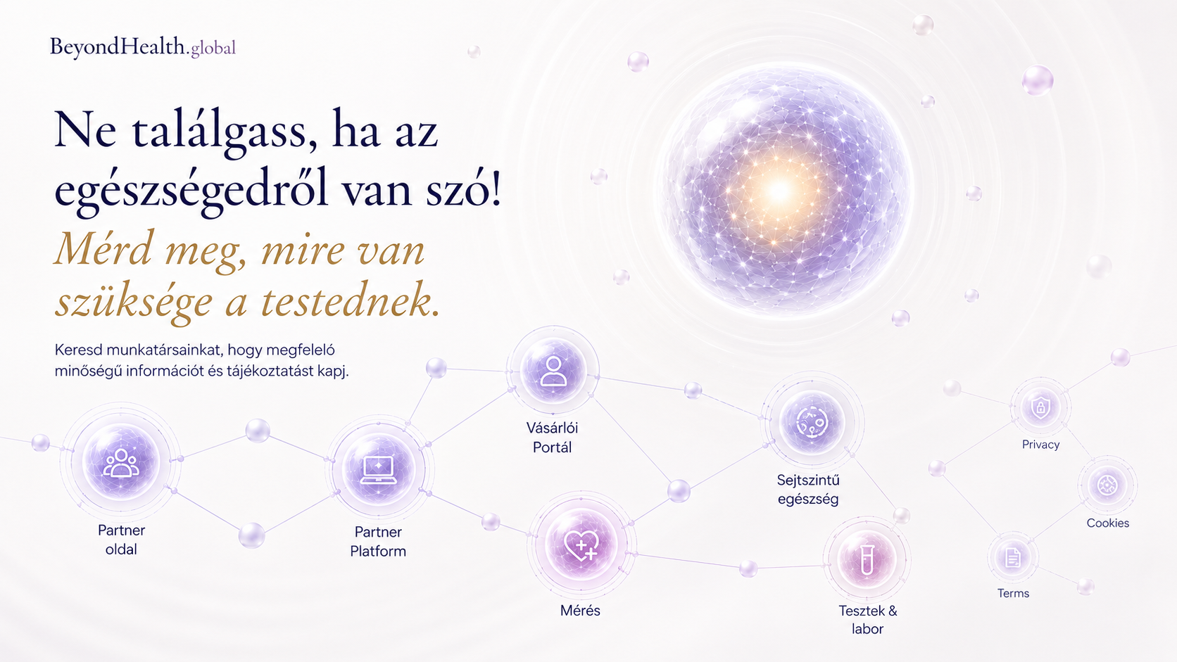 BeyondHealth.Global ecosystem navigation visual